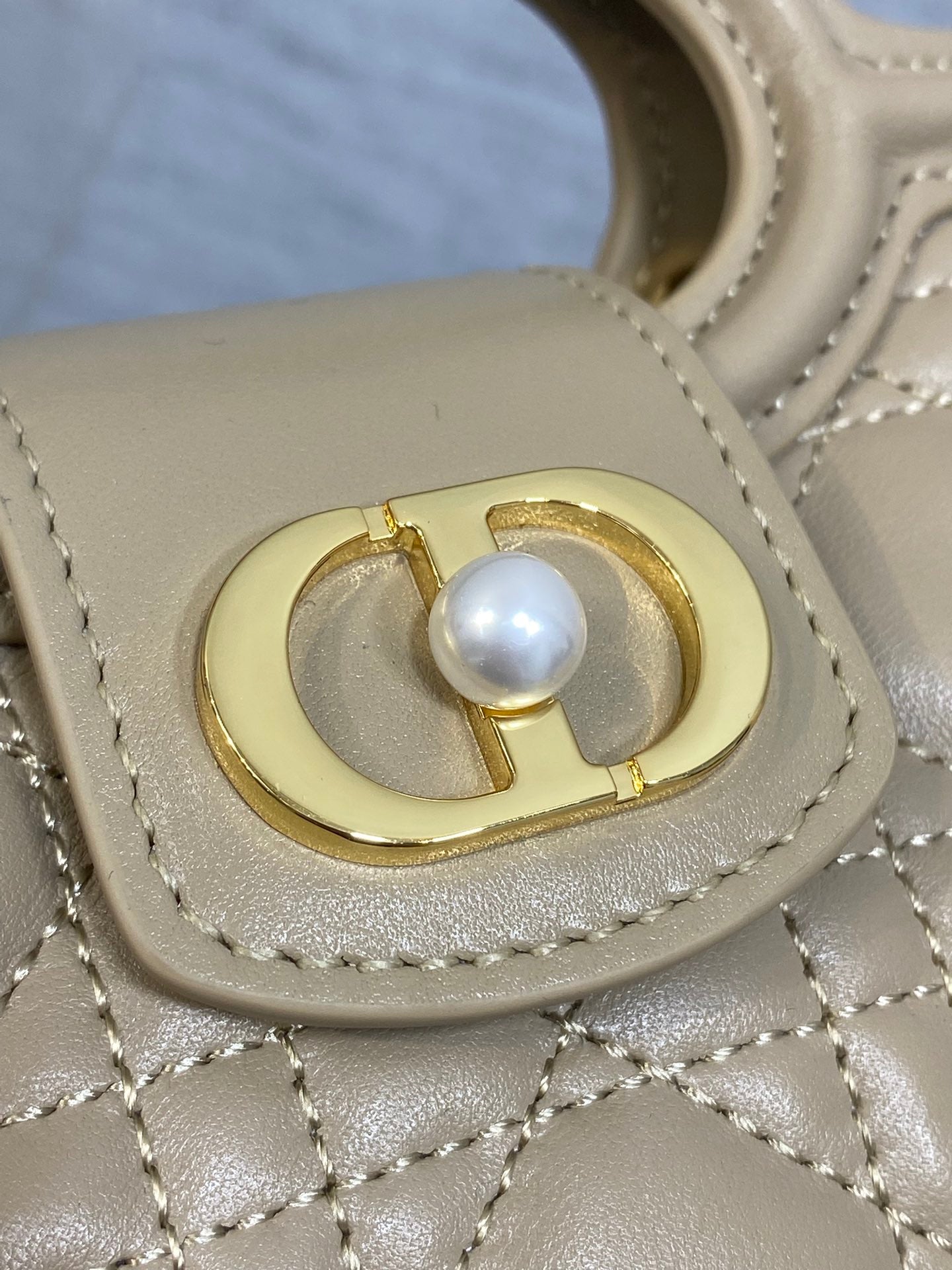 BAG-DIOR-W-LY-024