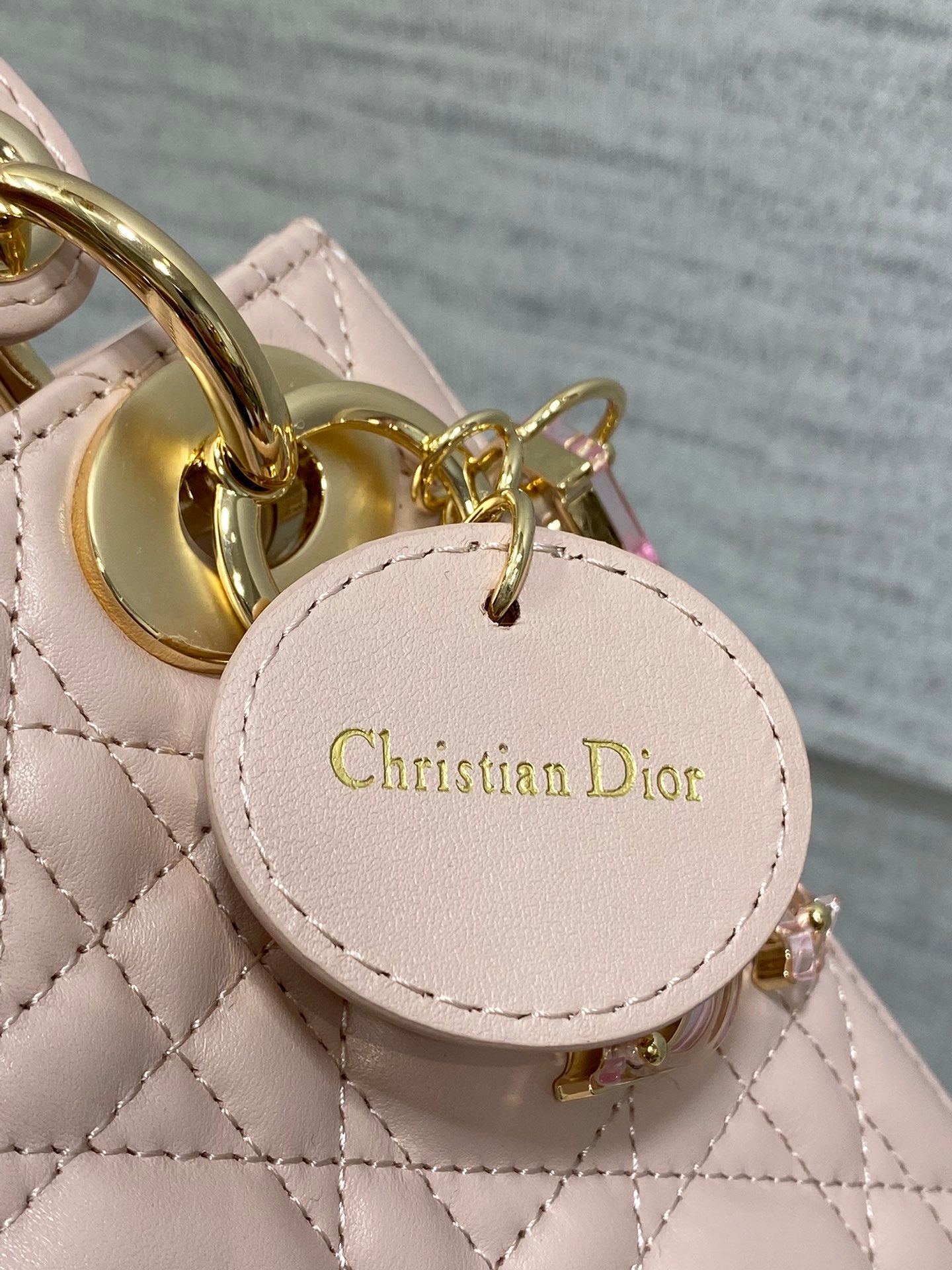 BAG-DIOR-W-LY-014