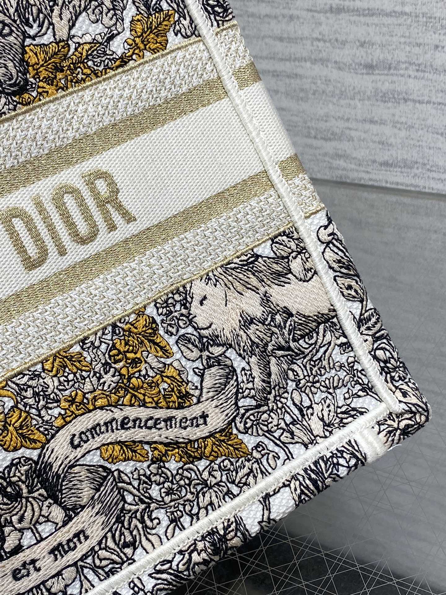 BAG-DIOR-W-LY-847