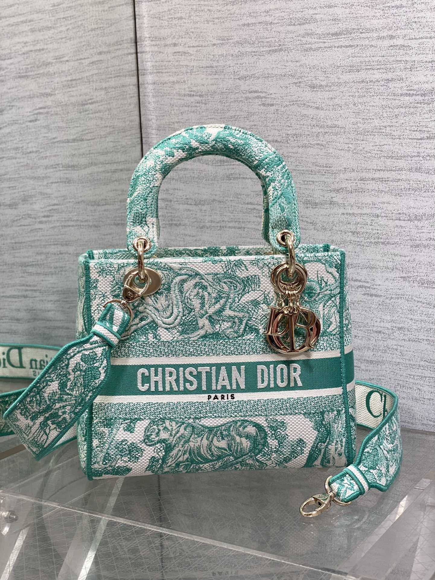 BAG-DIOR-W-LY-070