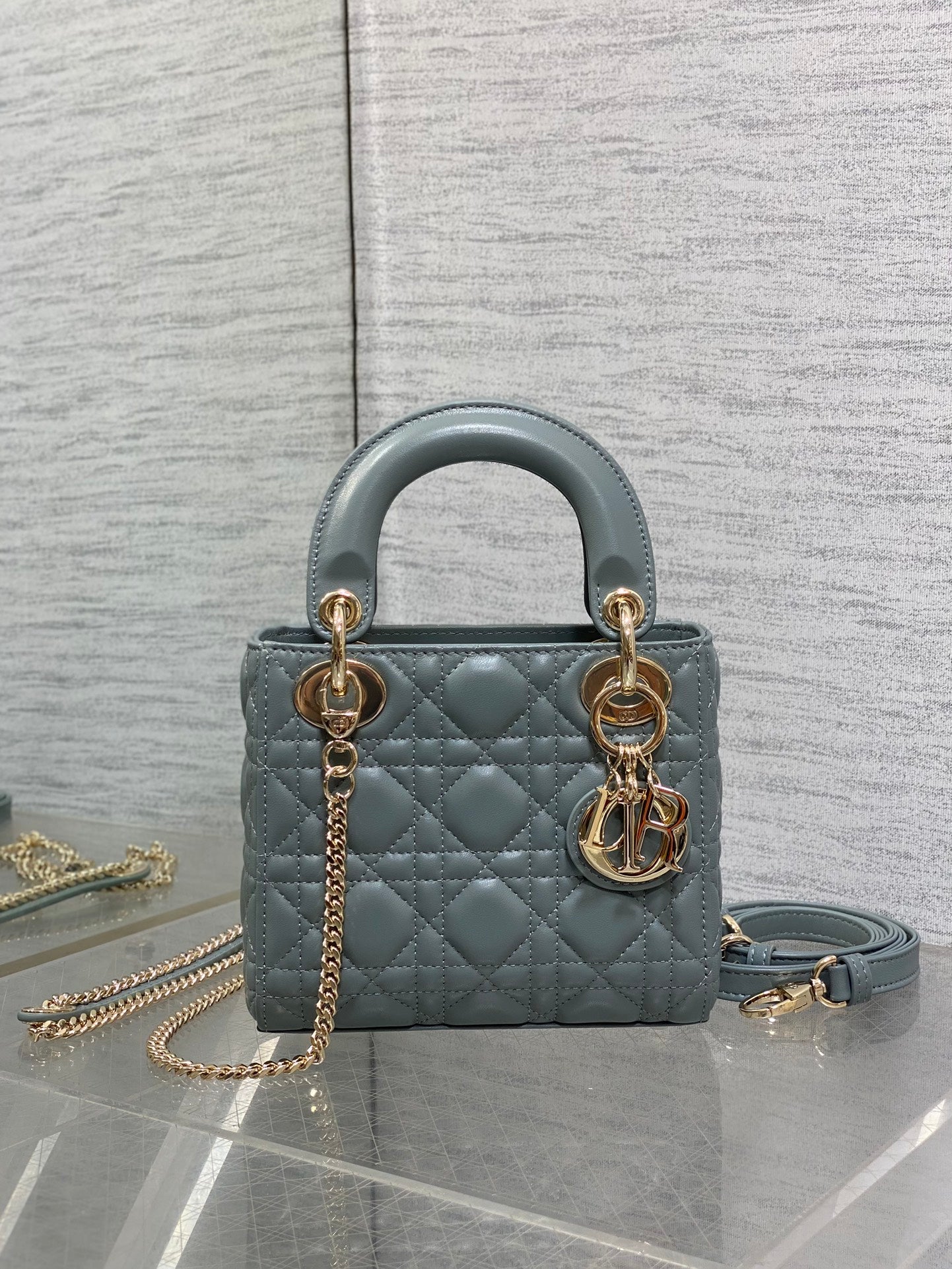 BAG-DIOR-W-LY-755