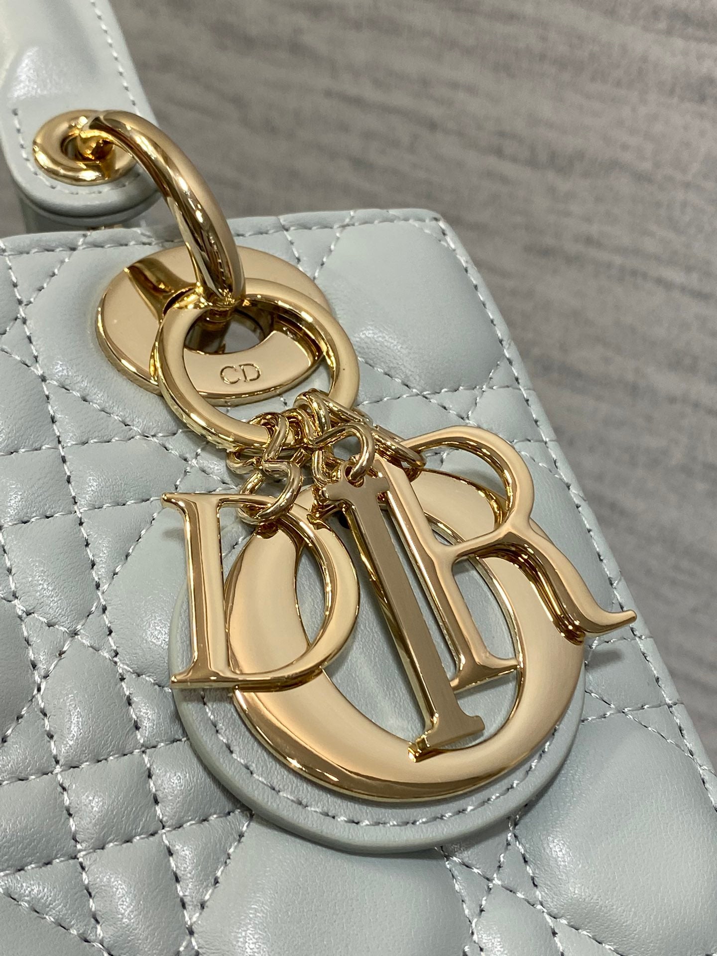 BAG-DIOR-W-LY-761