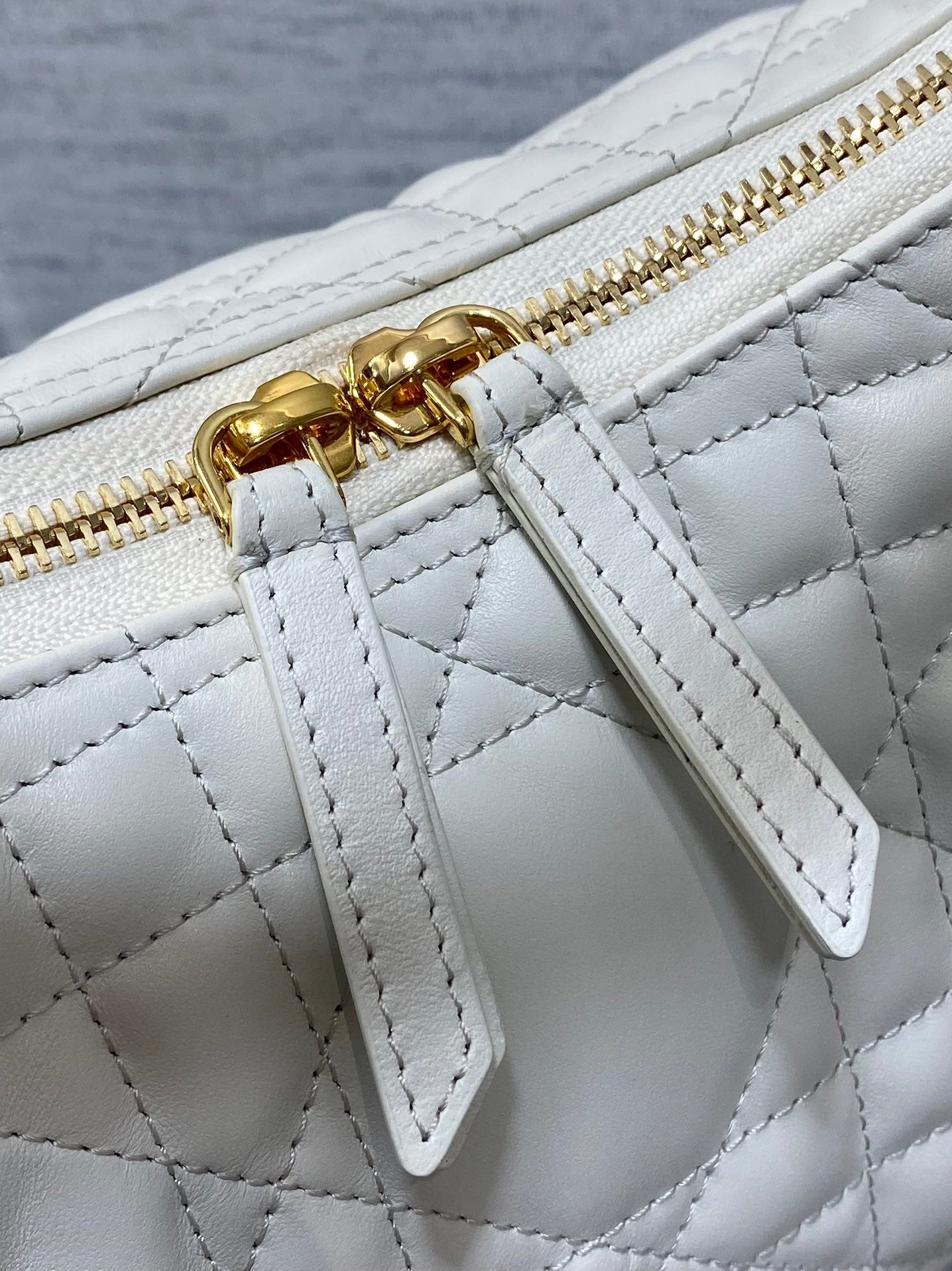 BAG-DIOR-W-LY-048