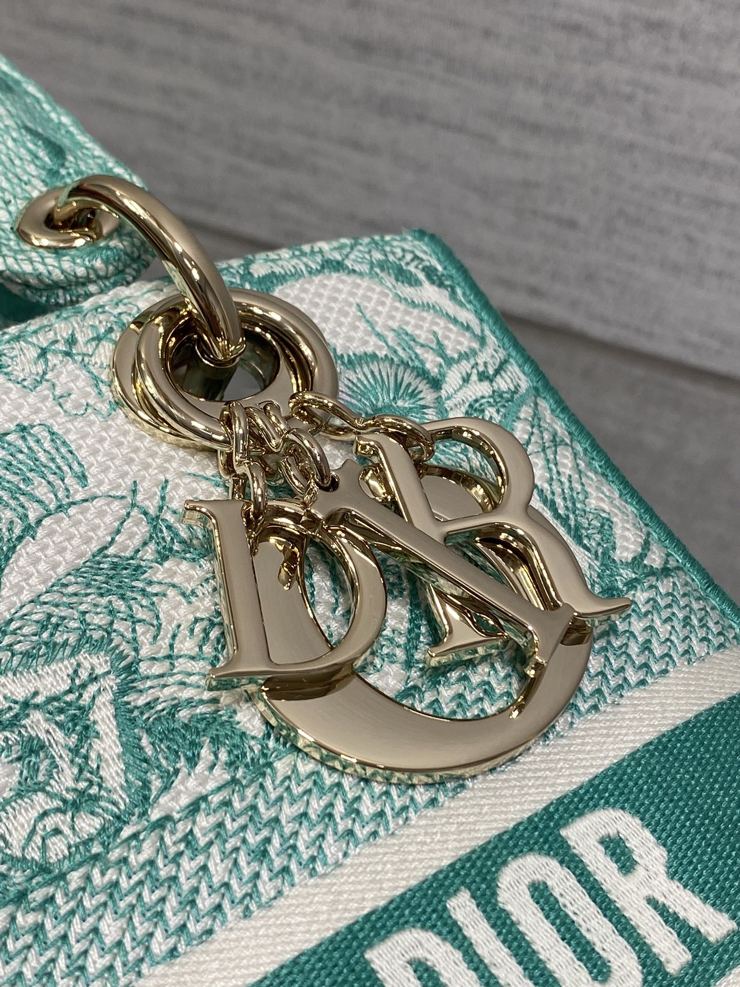 BAG-DIOR-W-LY-070