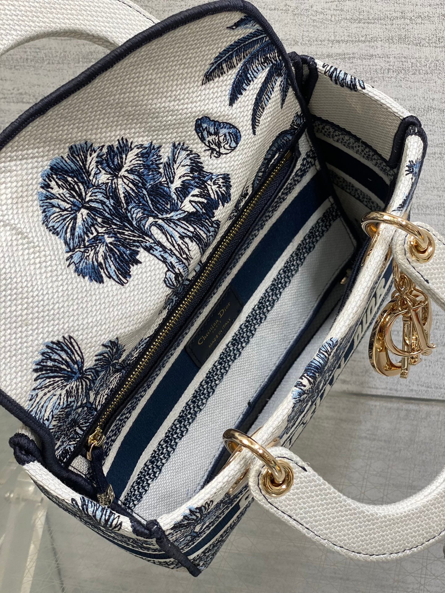 BAG-DIOR-W-LY-515