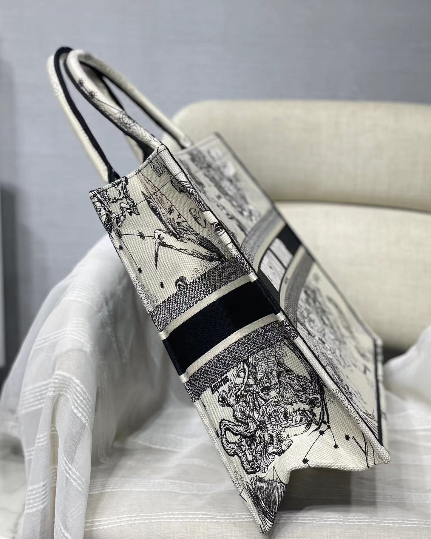 BAG-DIOR-W-LY-904