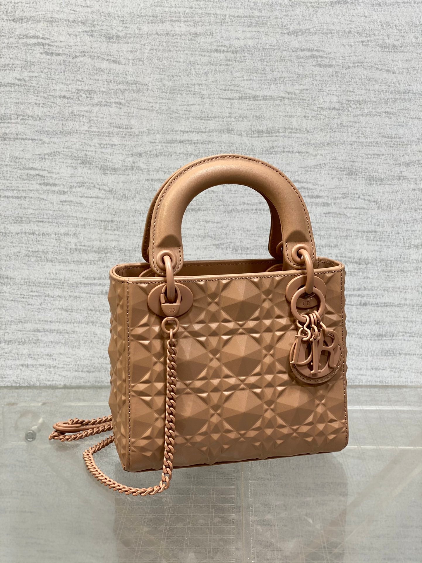 BAG-DIOR-W-LY-558