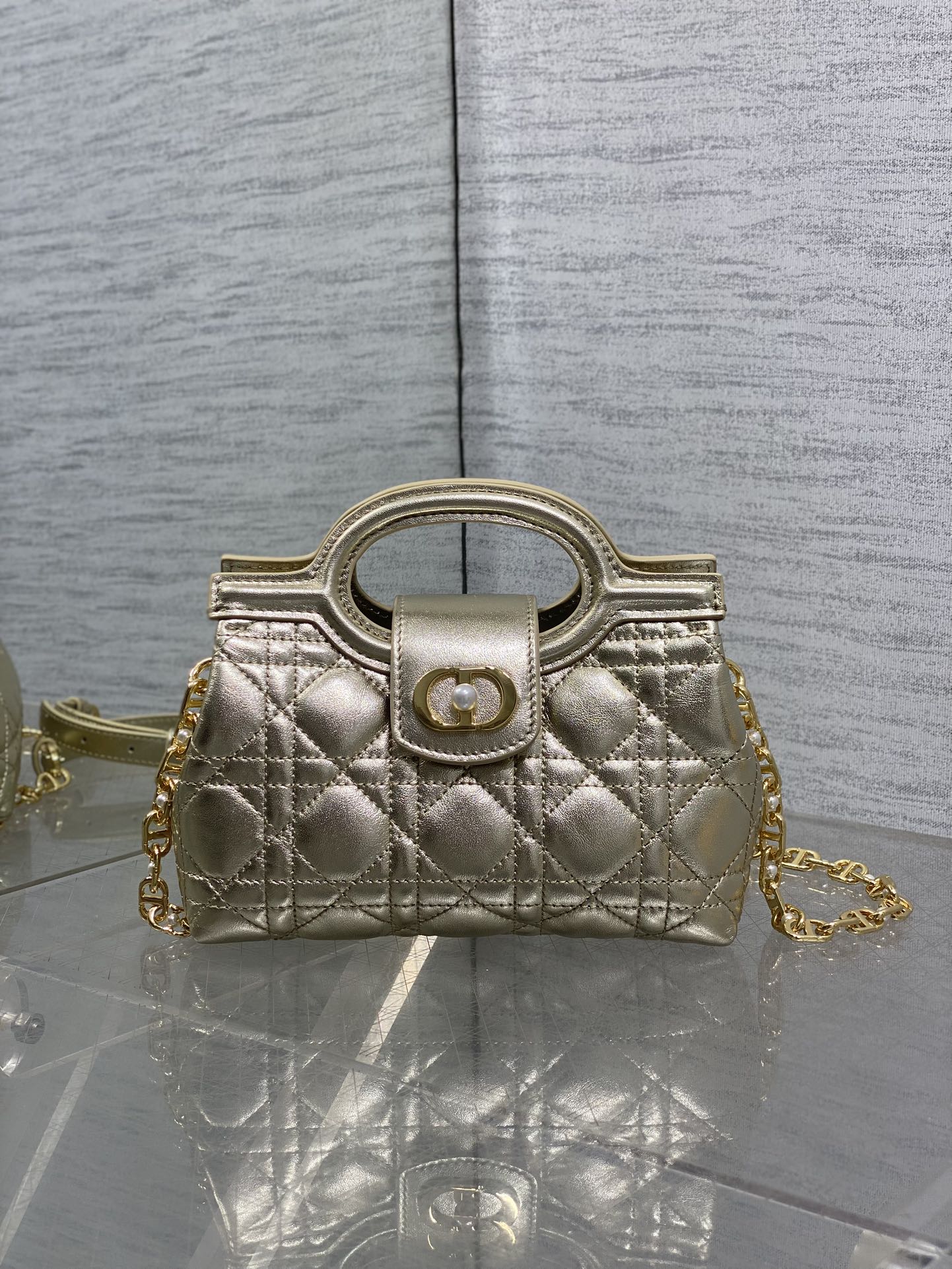 BAG-DIOR-W-LY-026