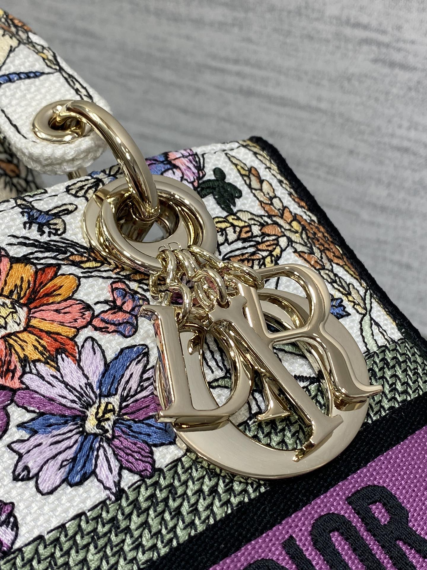 BAG-DIOR-W-LY-073