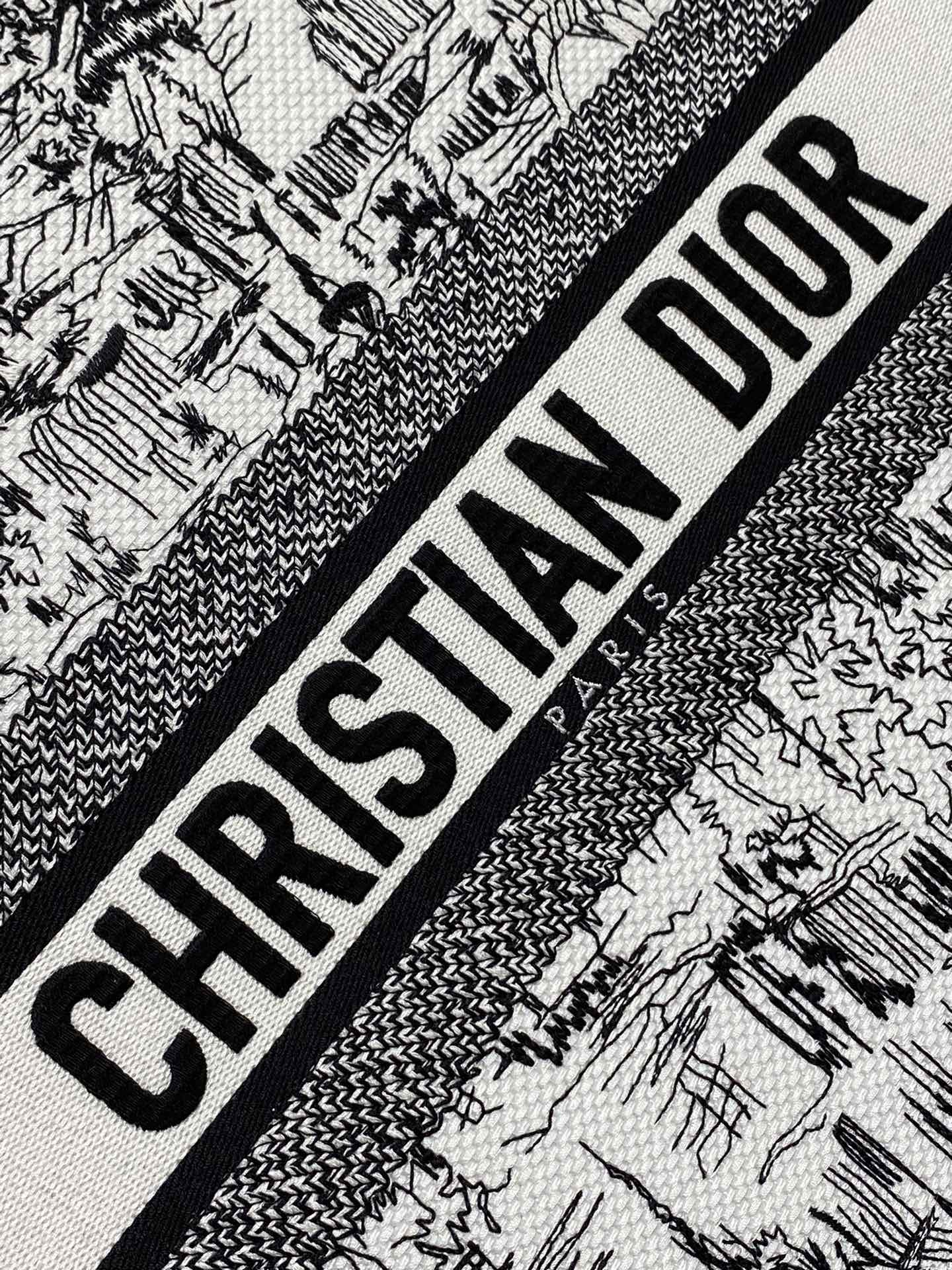 BAG-DIOR-W-LY-199
