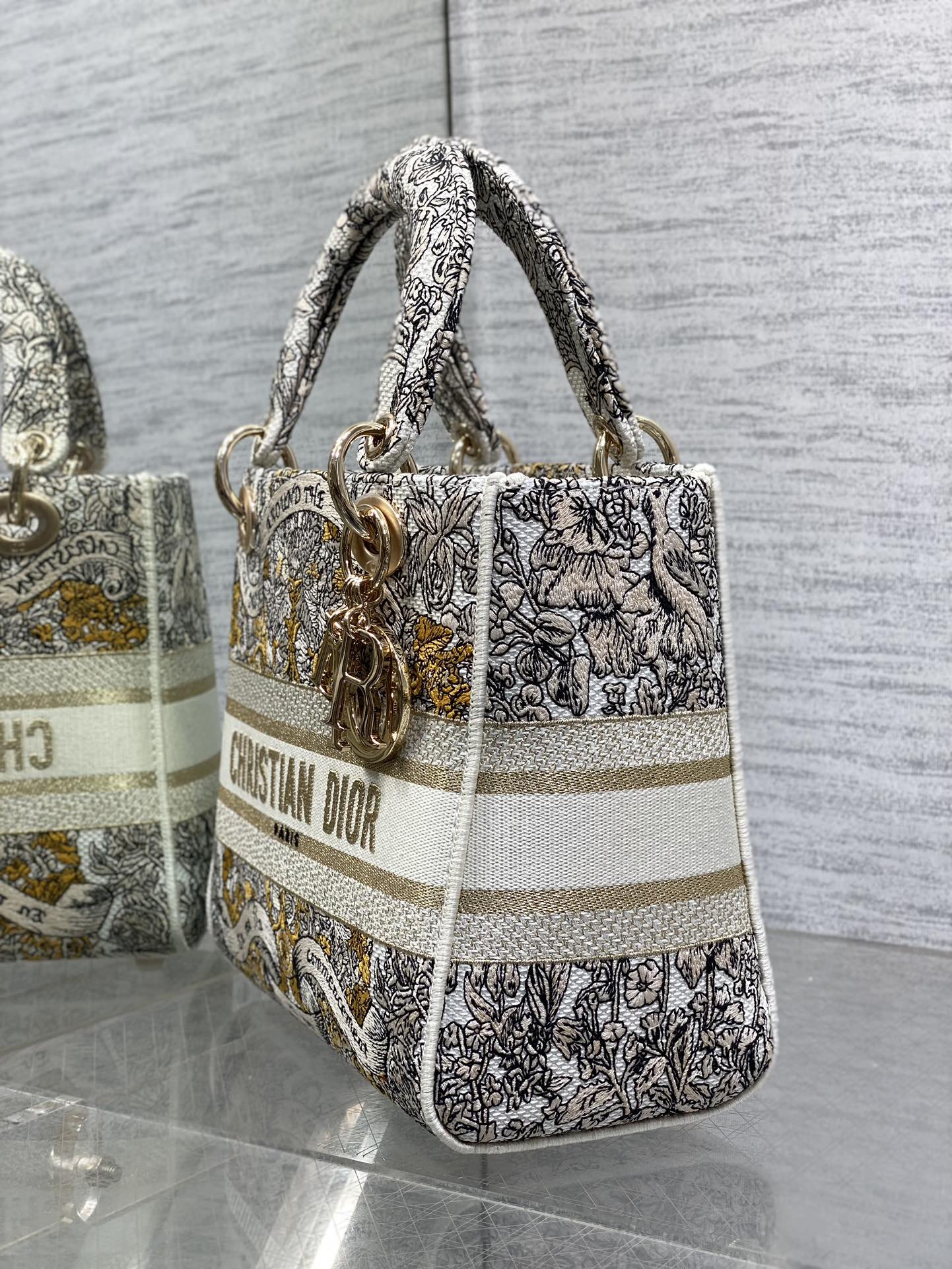 BAG-DIOR-W-LY-494