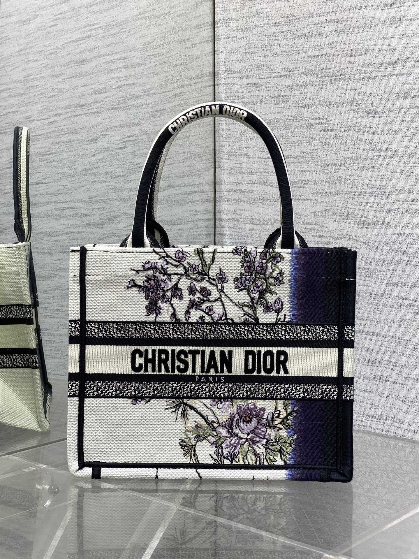 BAG-DIOR-W-LY-905