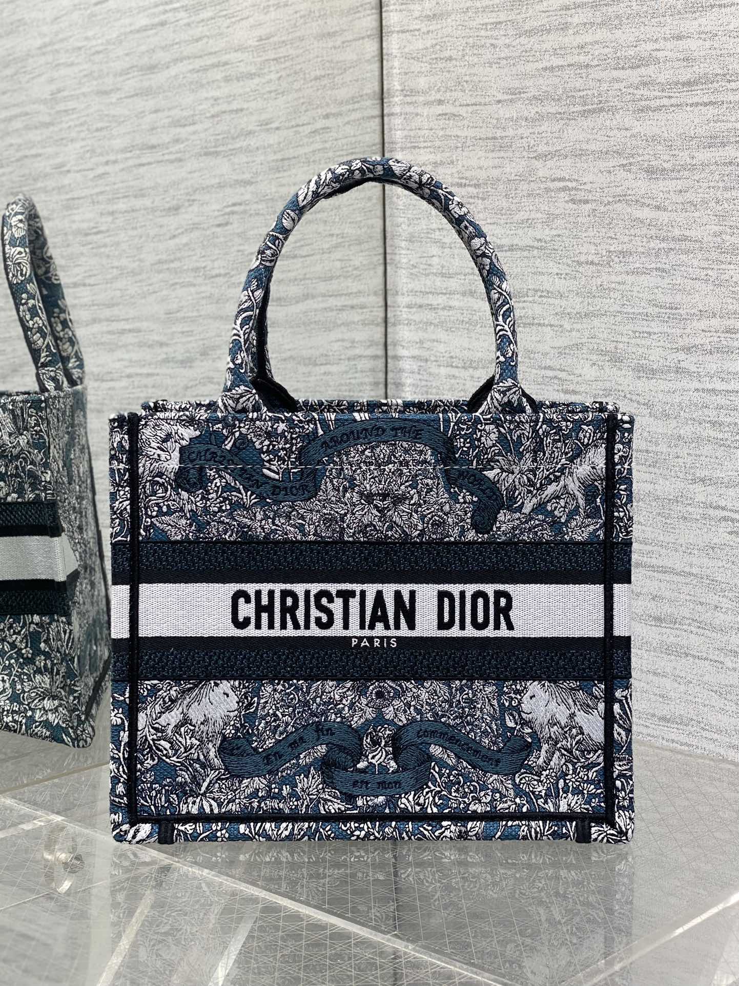 BAG-DIOR-W-LY-845