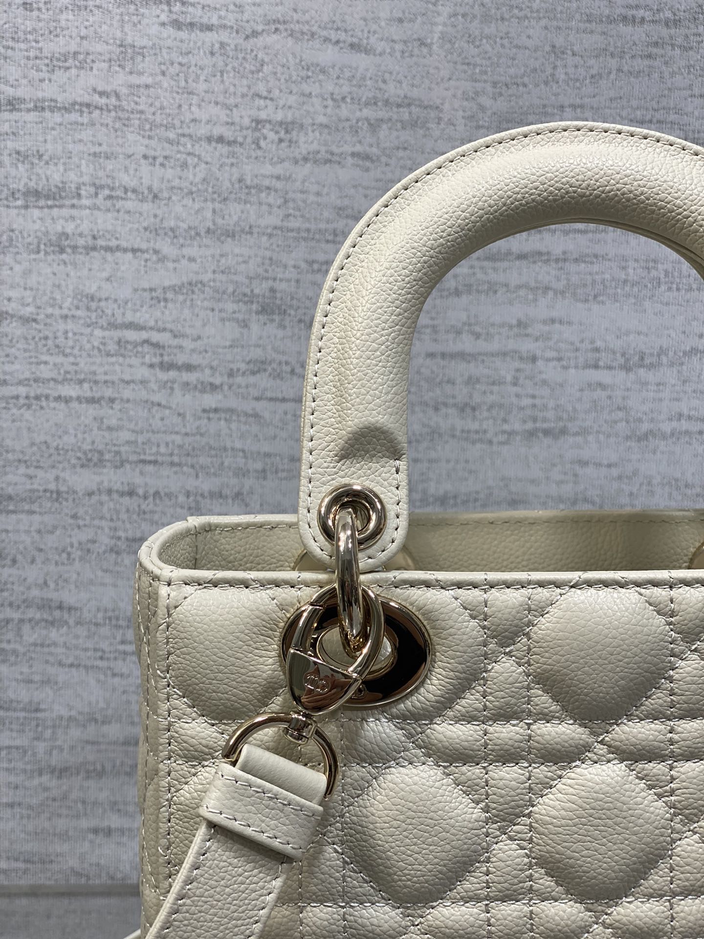 BAG-DIOR-W-LY-519