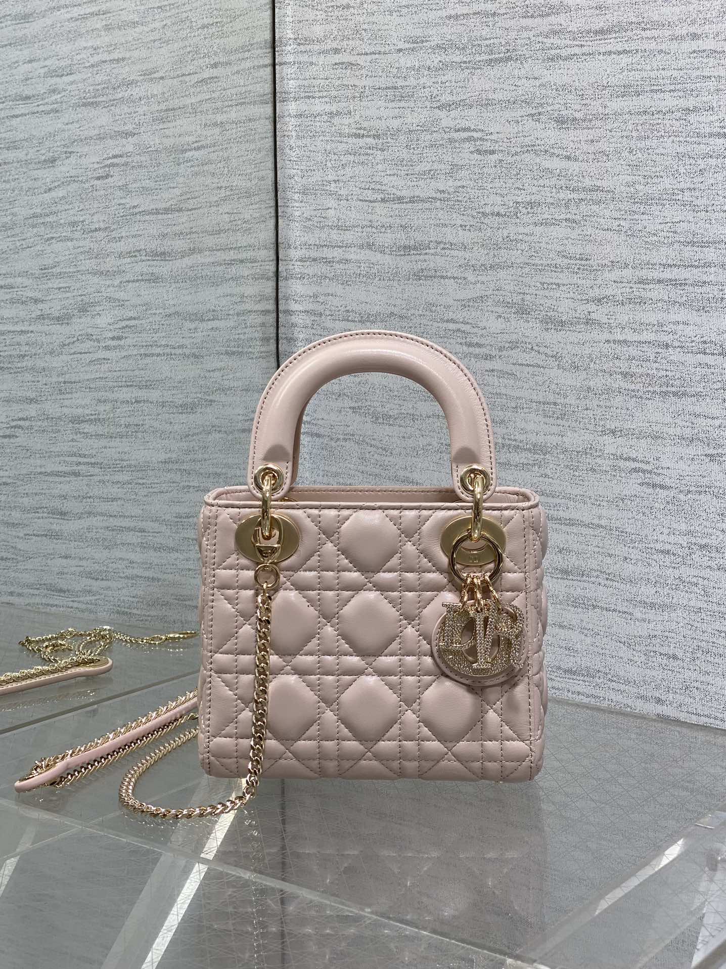 BAG-DIOR-W-LY-741