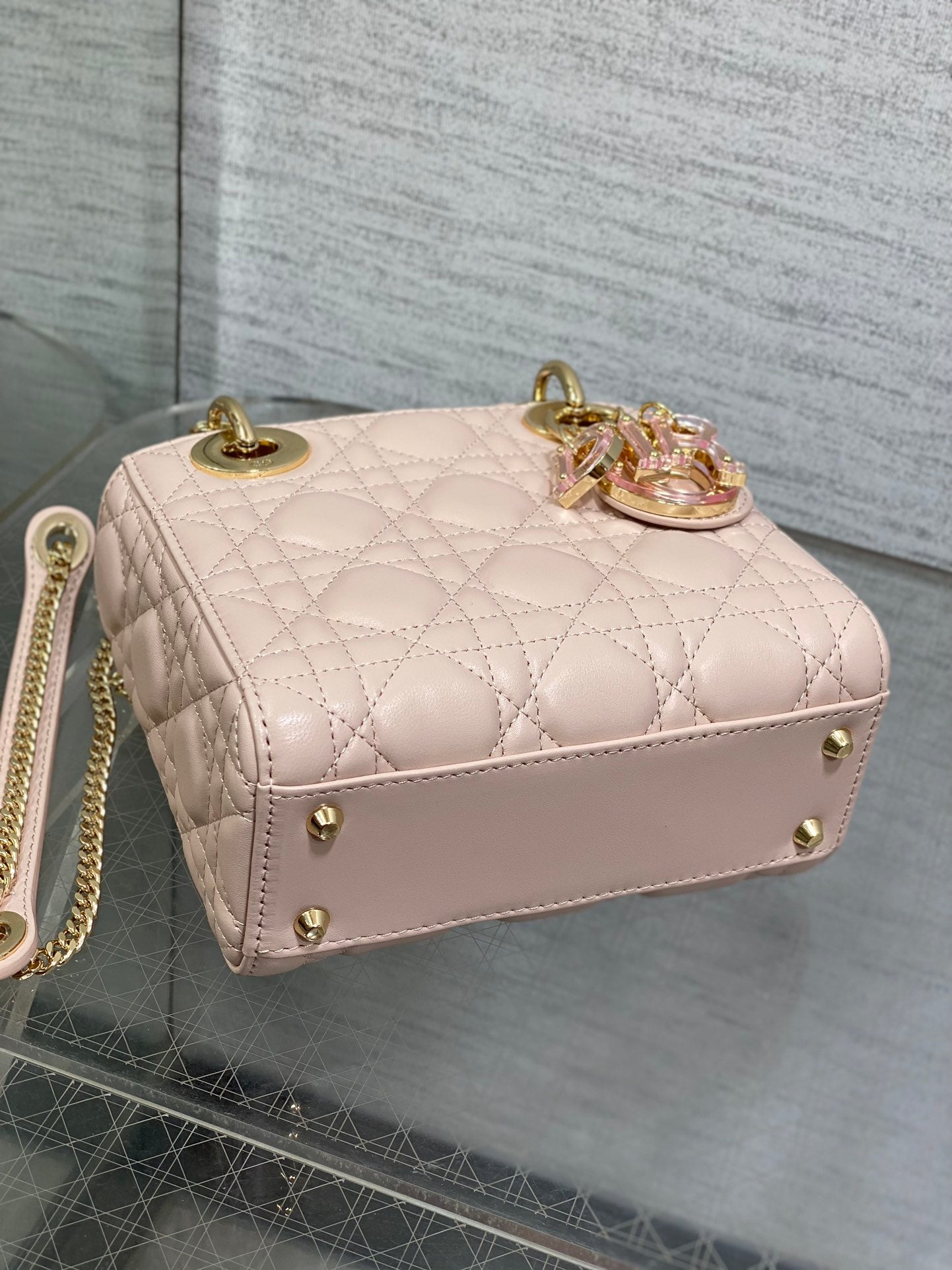 BAG-DIOR-W-LY-014