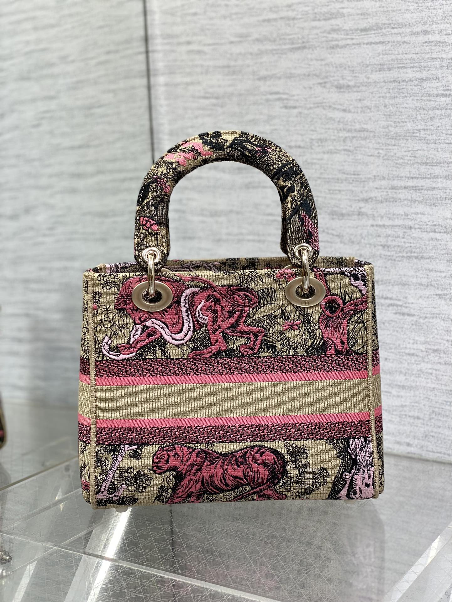 BAG-DIOR-W-LY-071