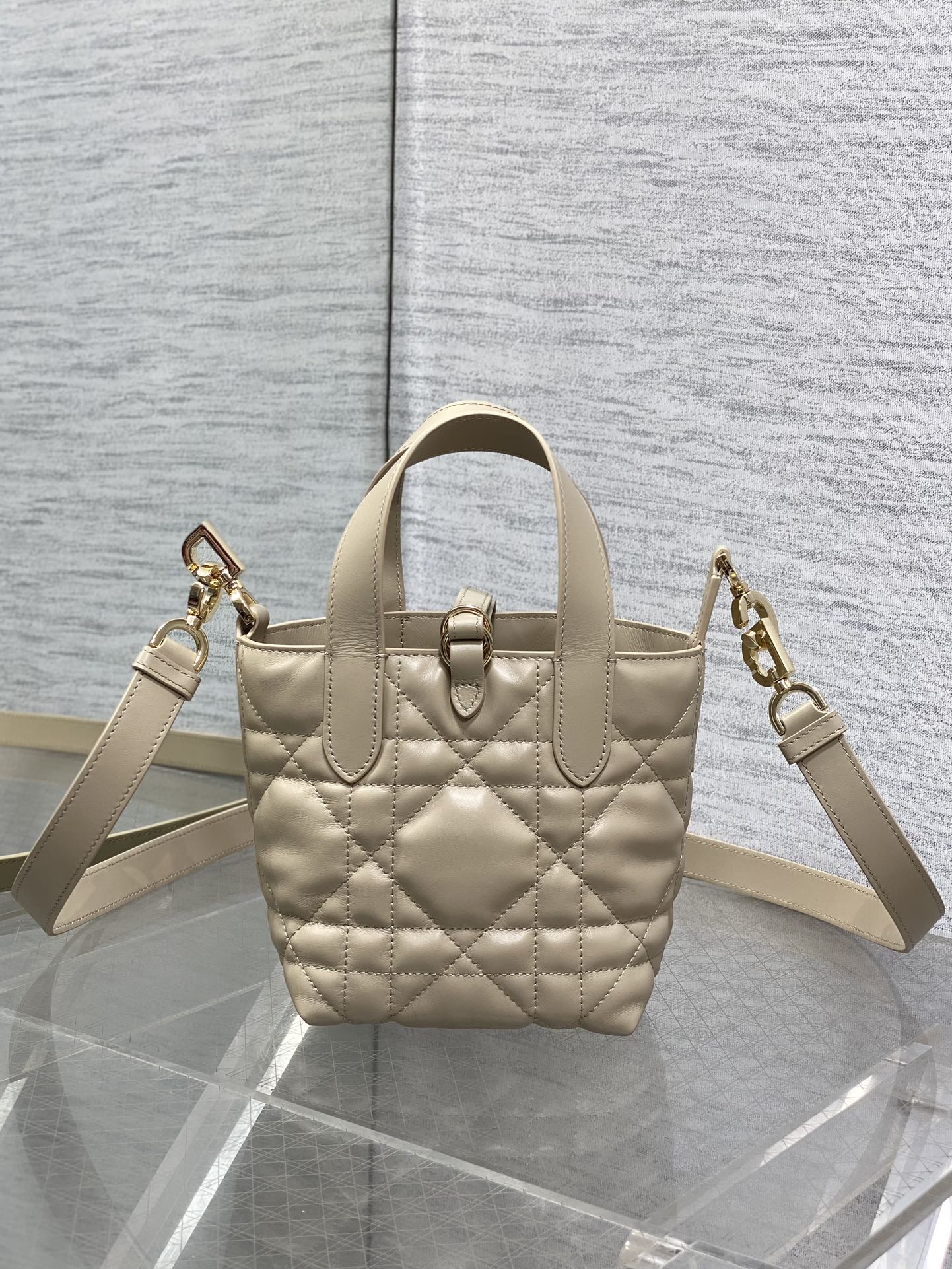 BAG-DIOR-W-LY-058
