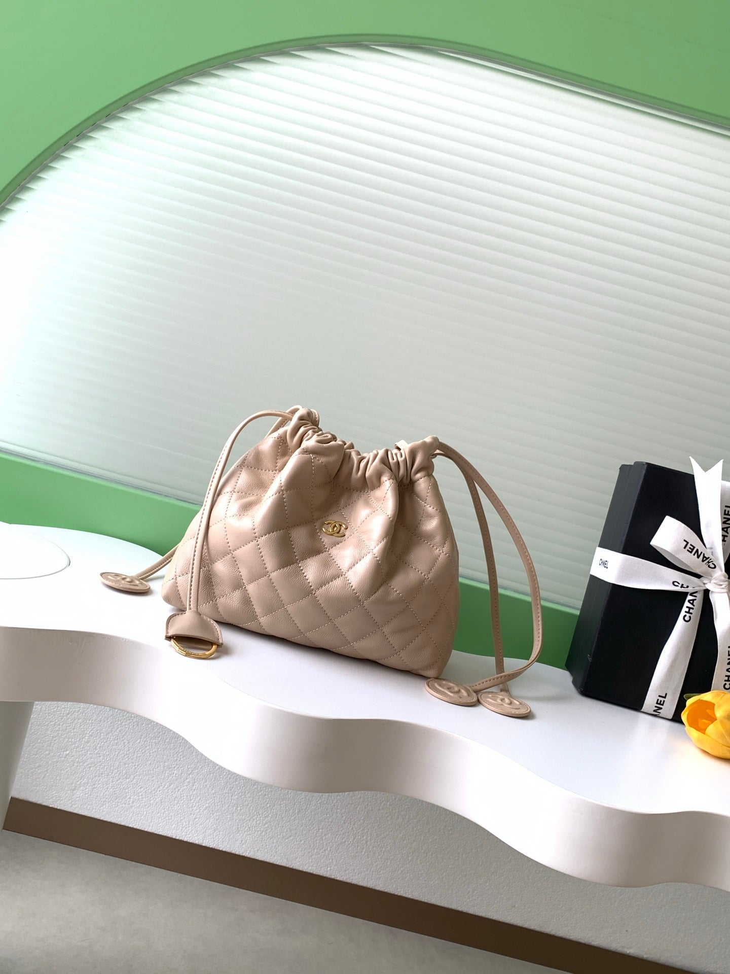 BAG-CHANEL-074