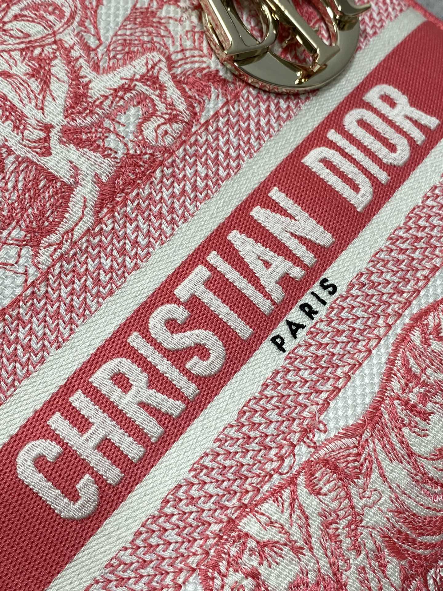 BAG-DIOR-W-LY-069