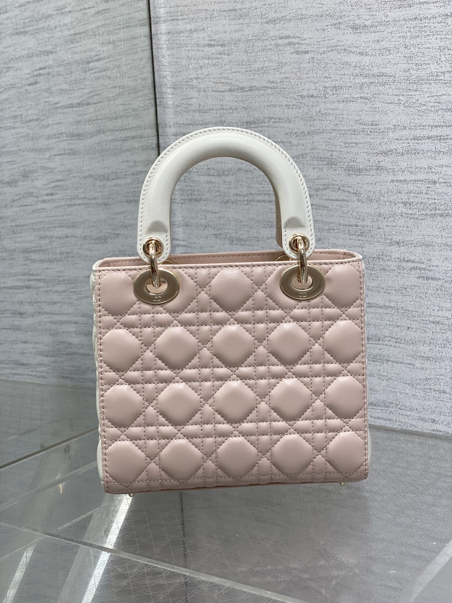 BAG-DIOR-W-LY-547