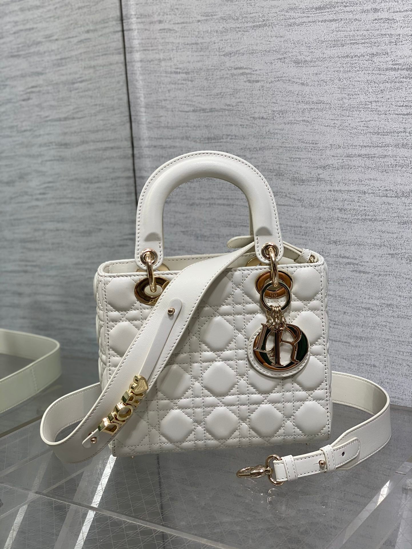 BAG-DIOR-W-LY-665