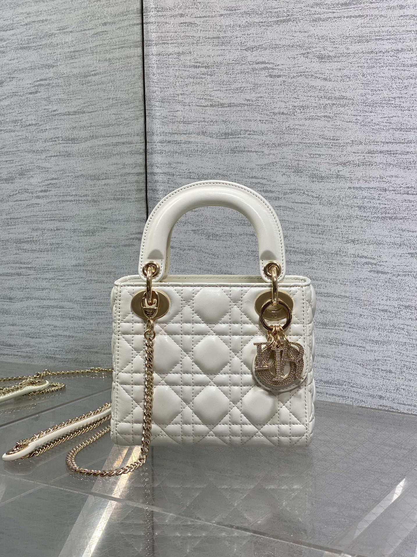 BAG-DIOR-W-LY-742