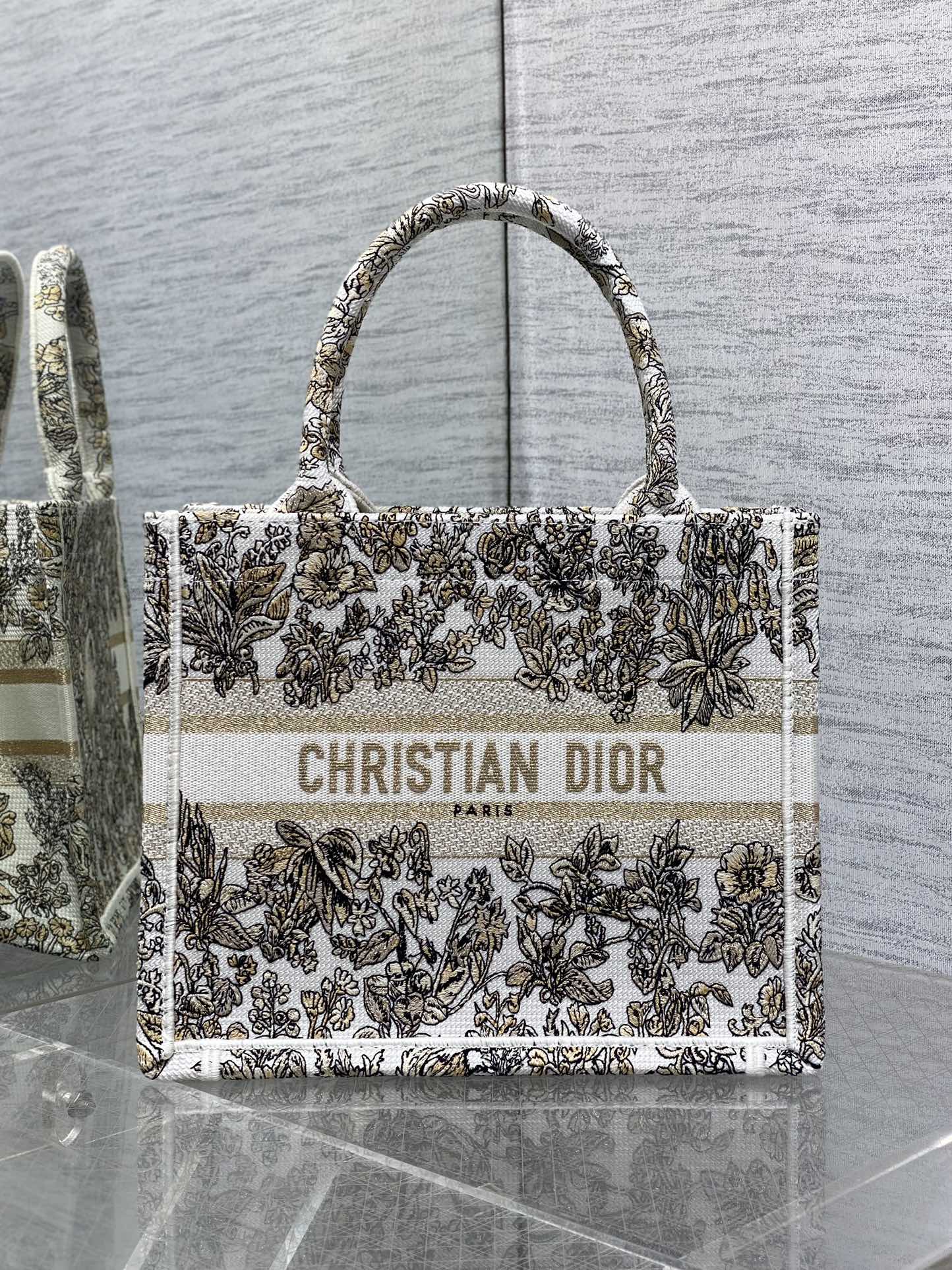 BAG-DIOR-W-LY-201