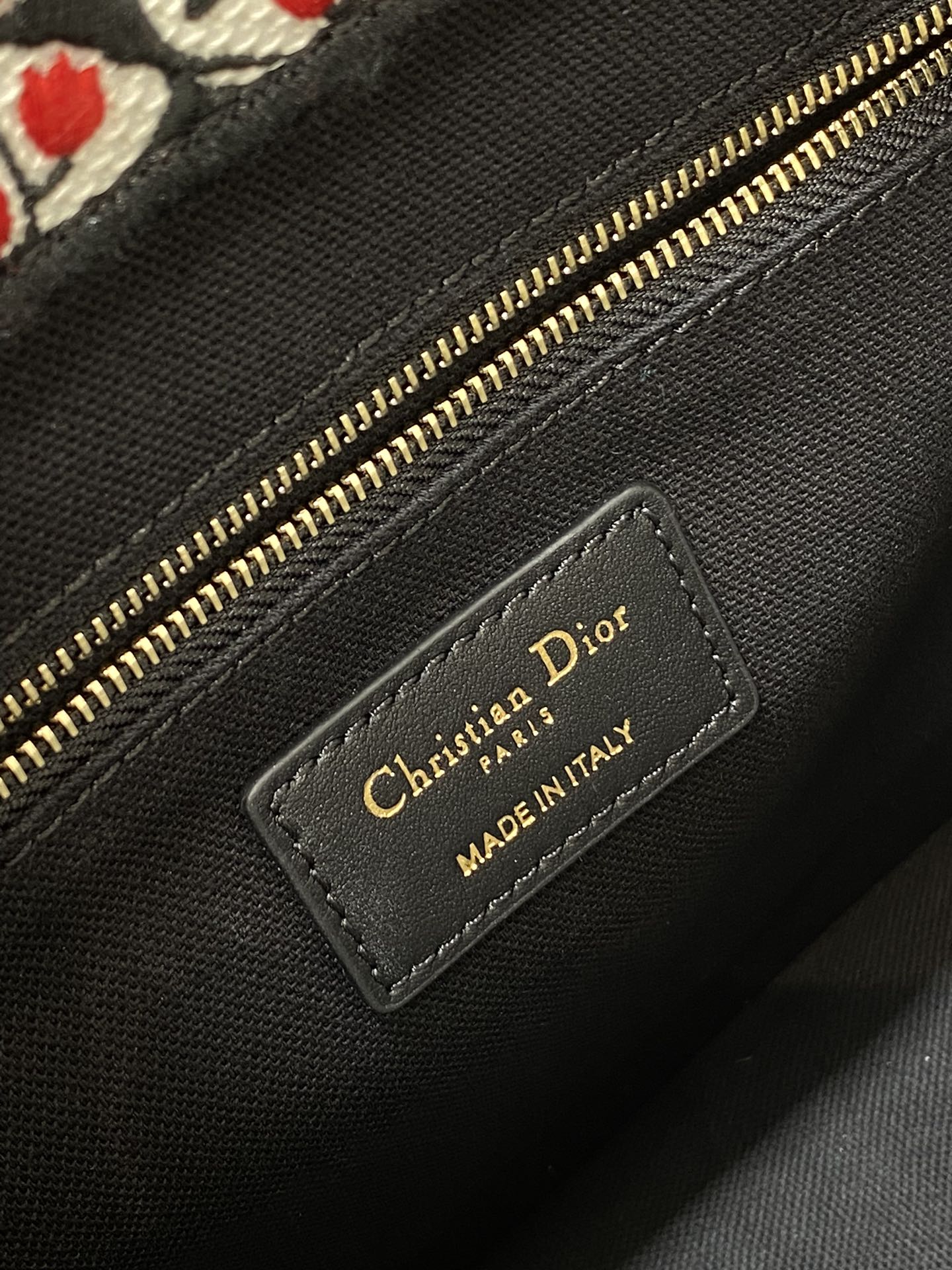 BAG-DIOR-W-LY-194