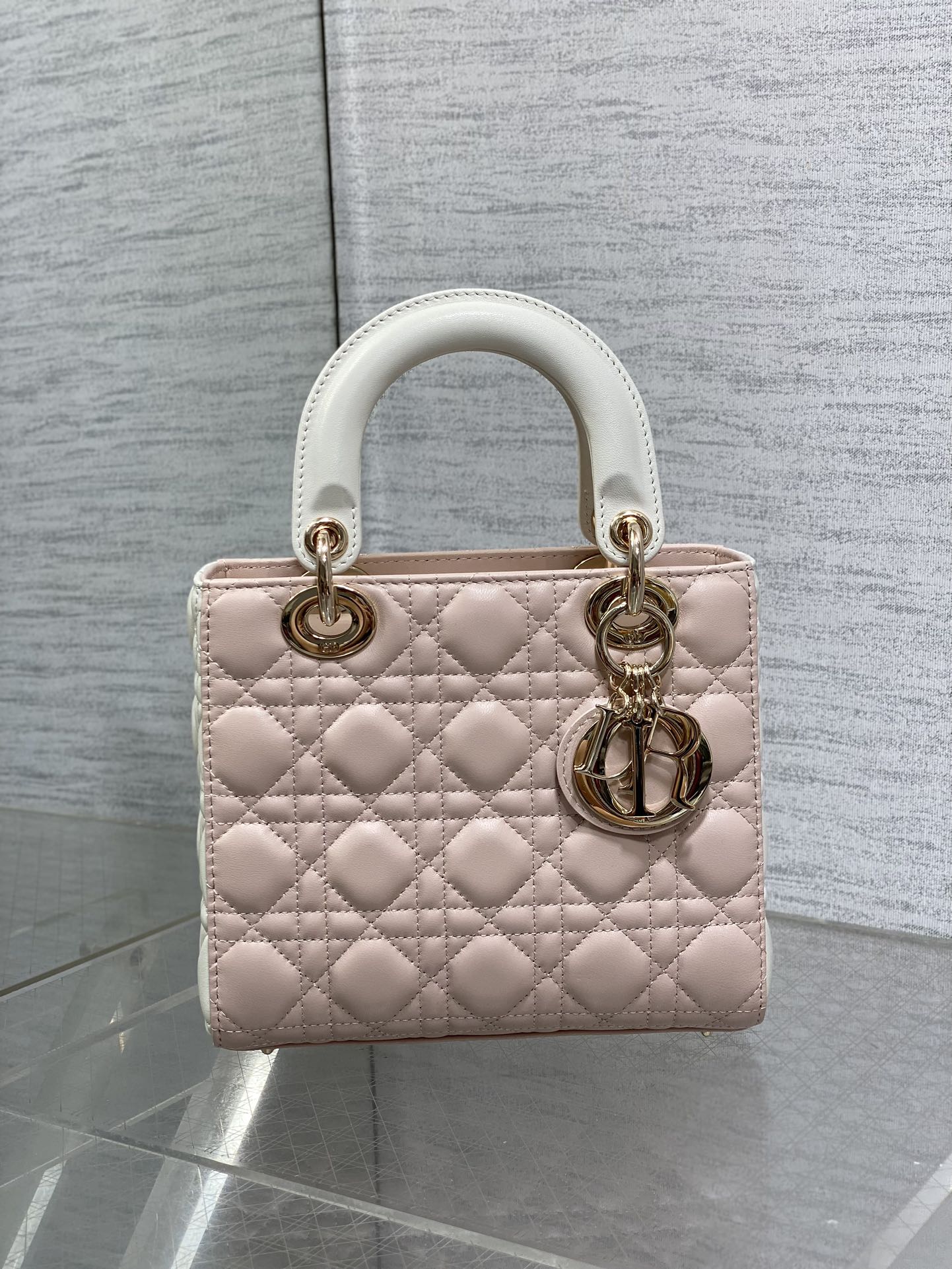 BAG-DIOR-W-LY-547