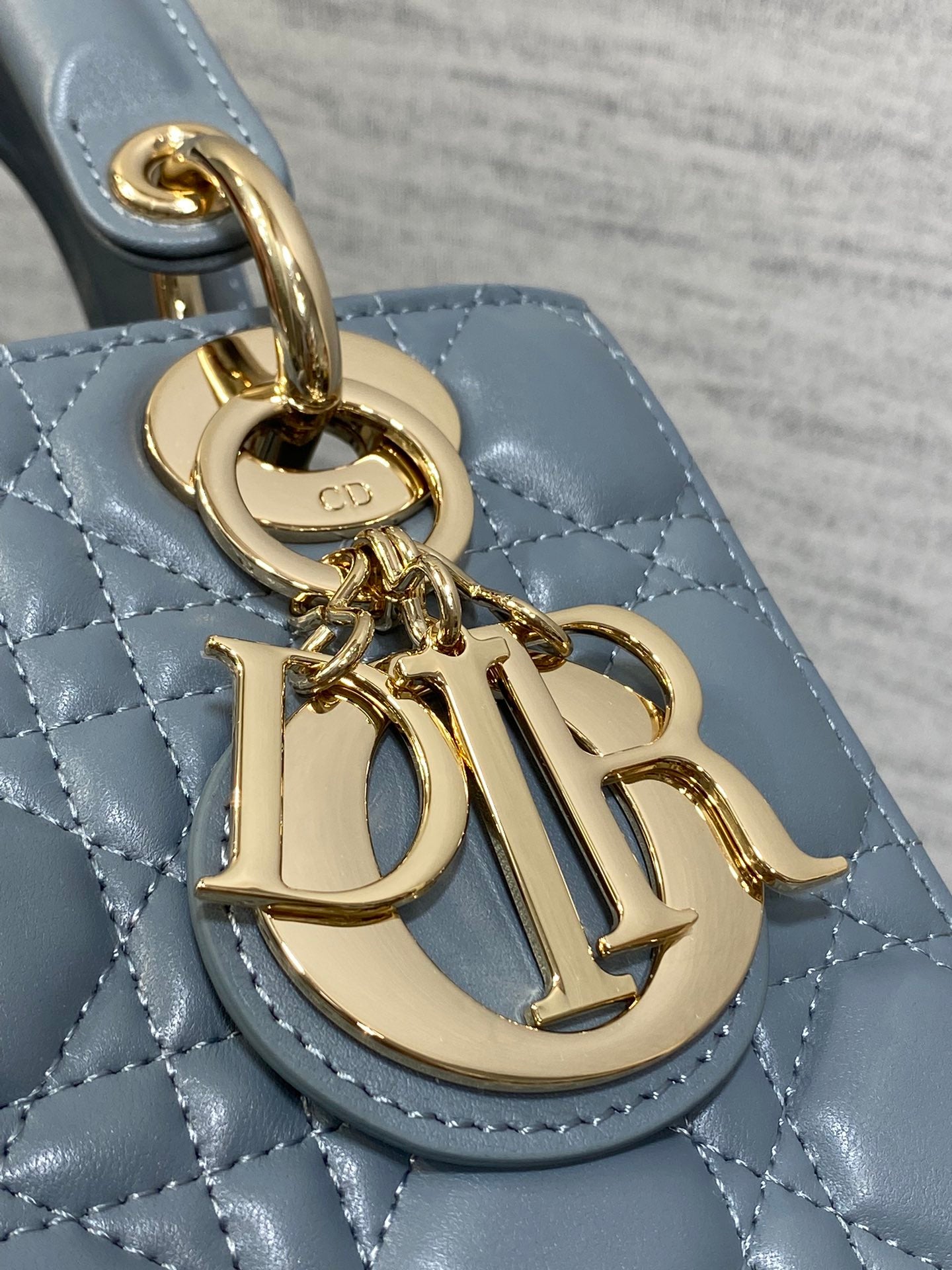 BAG-DIOR-W-LY-760