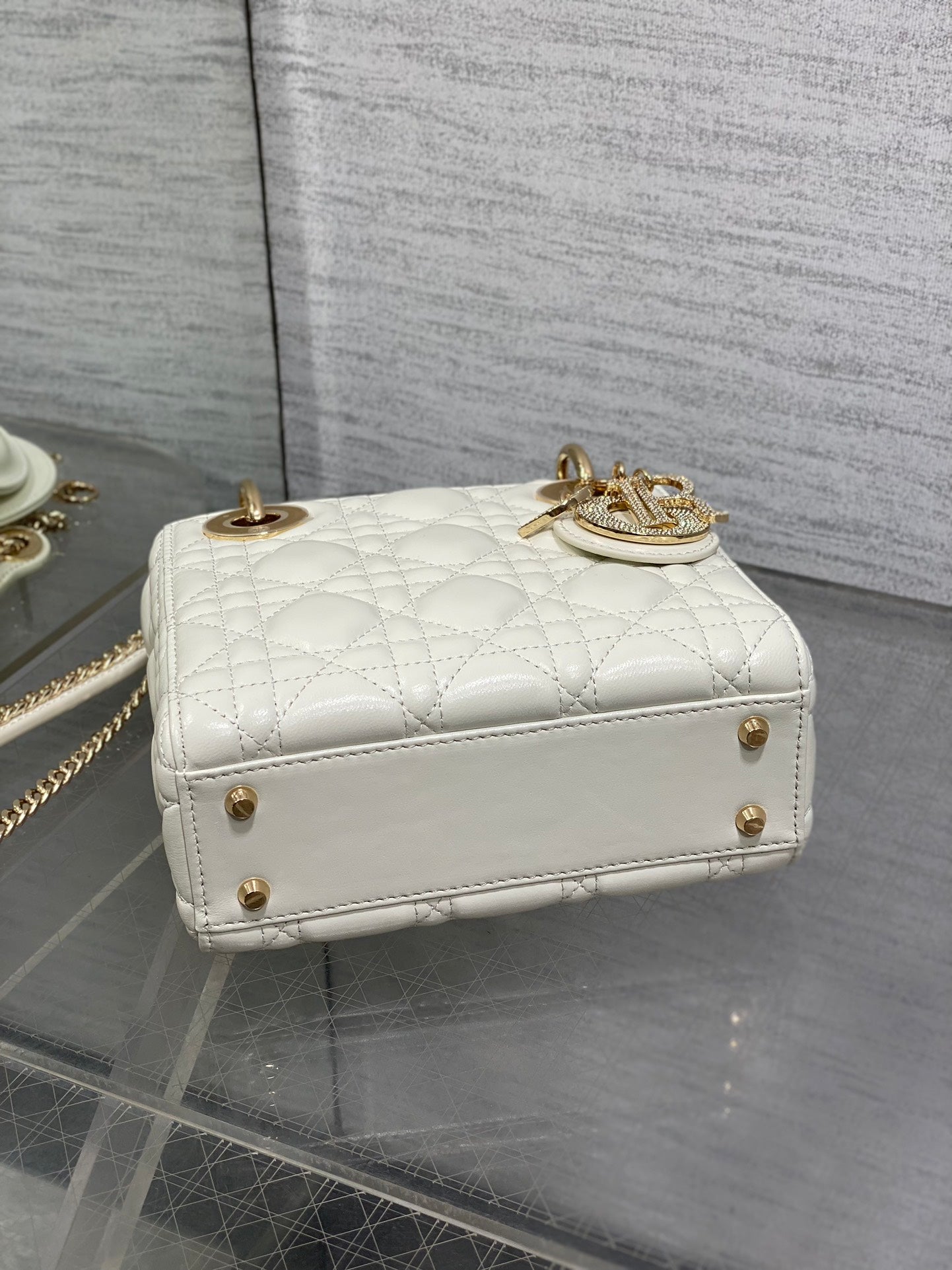 BAG-DIOR-W-LY-742