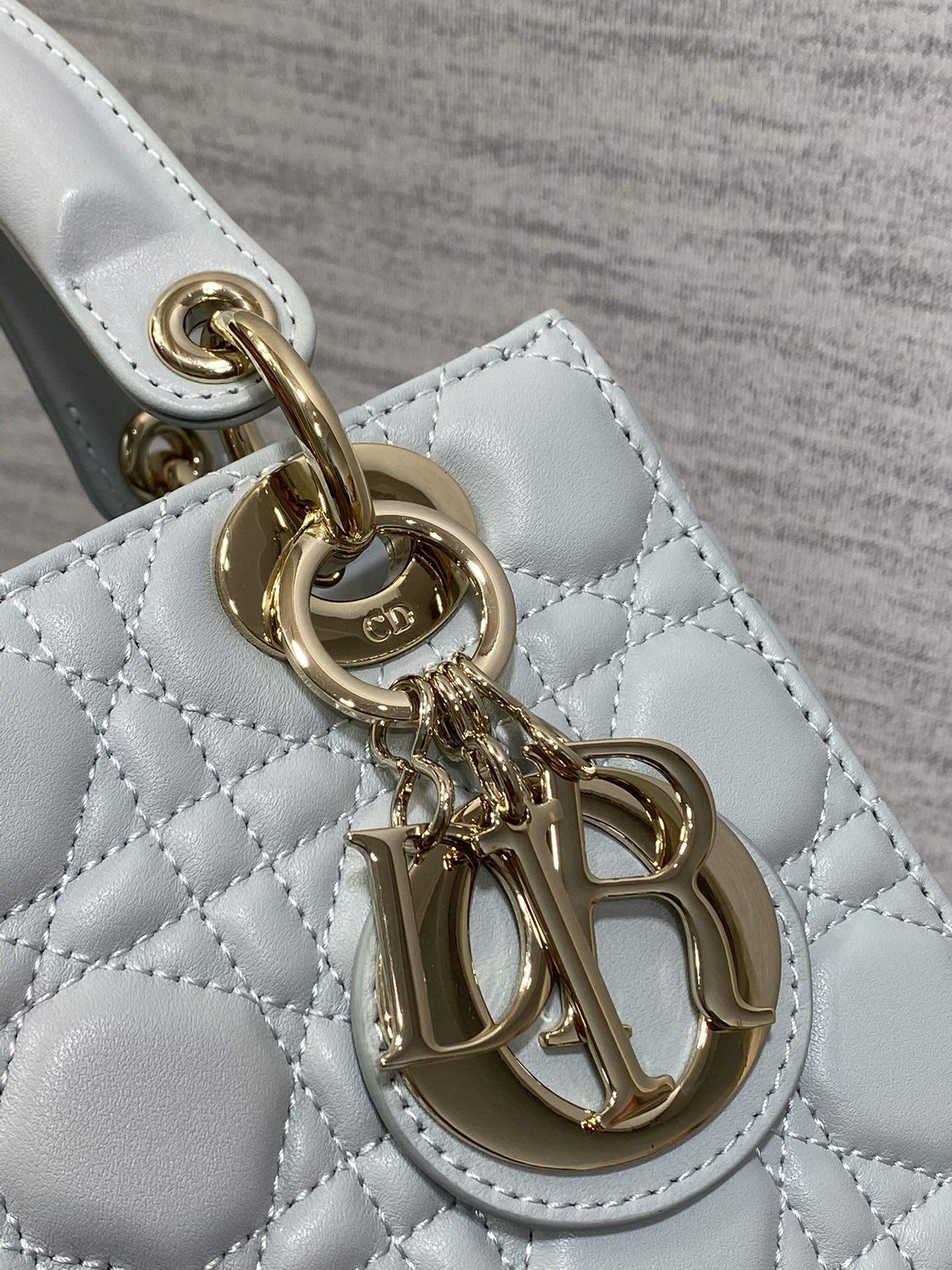 BAG-DIOR-W-LY-669