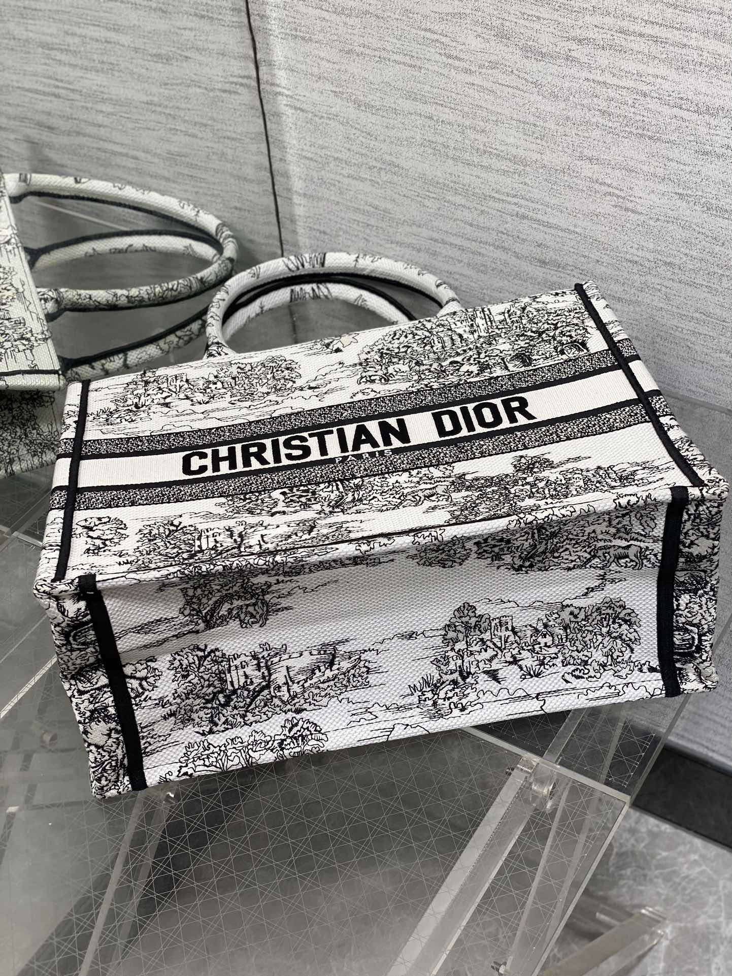 BAG-DIOR-W-LY-863