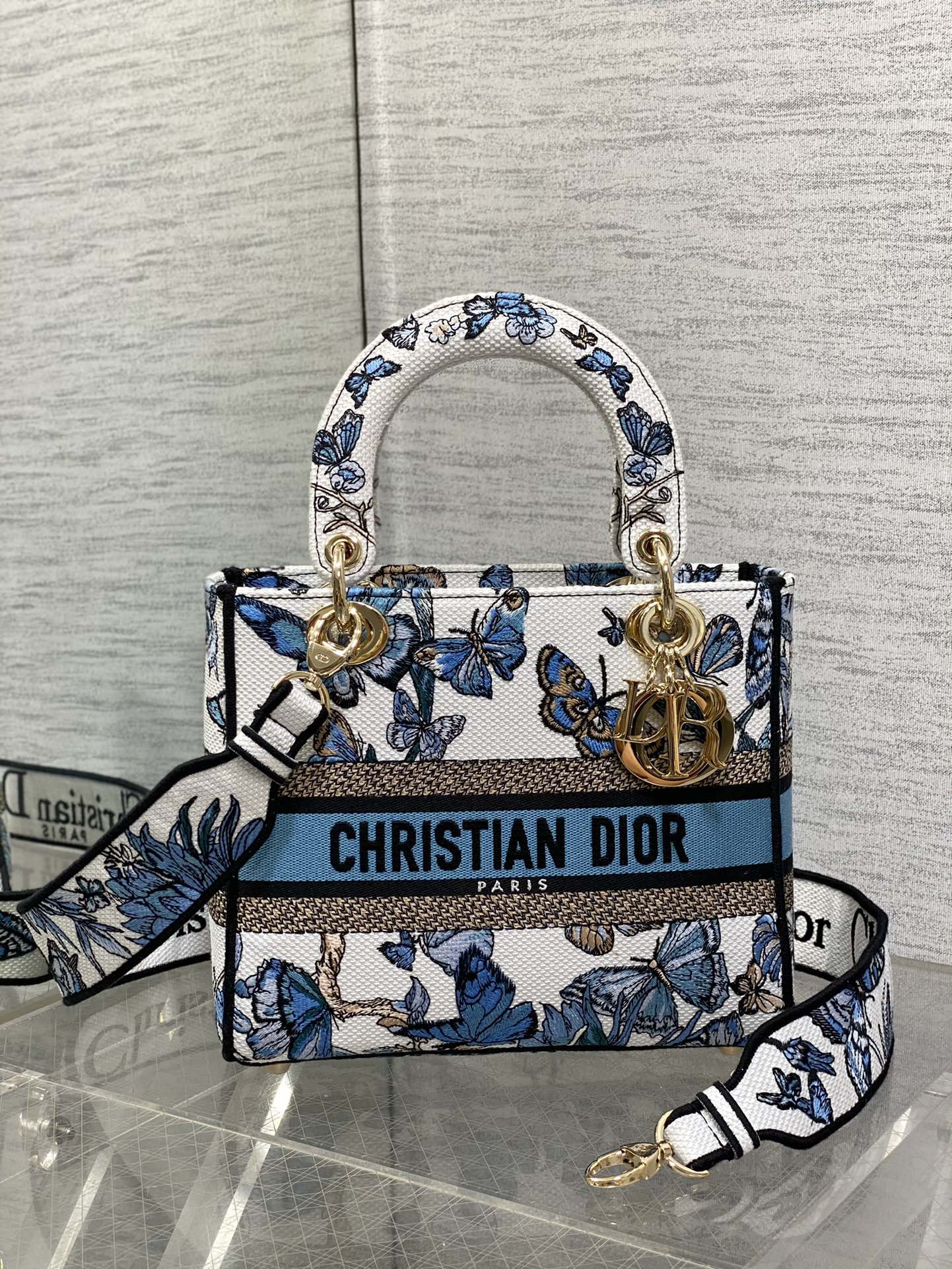 BAG-DIOR-W-LY-081