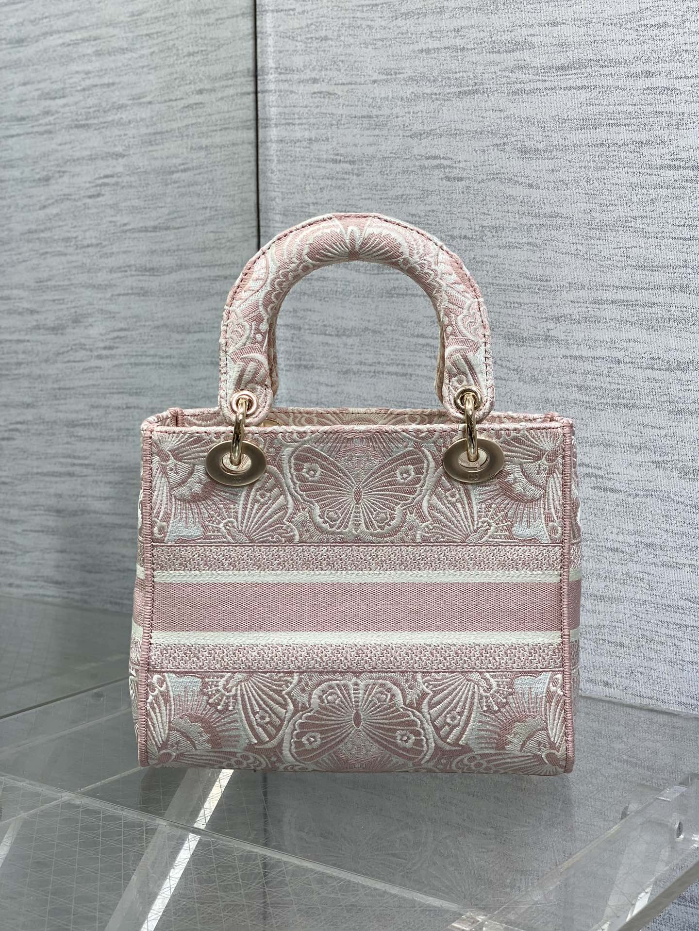BAG-DIOR-W-LY-503