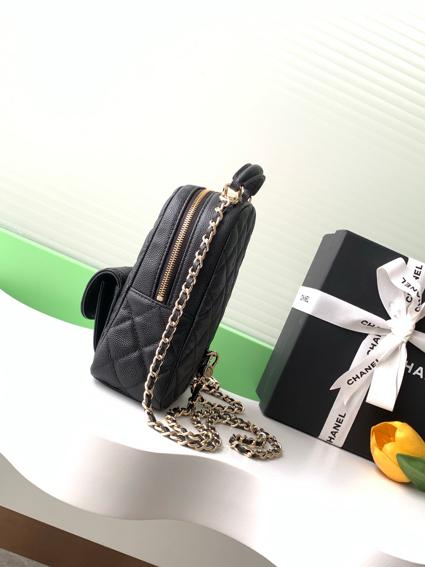 BAG-CHANEL-251