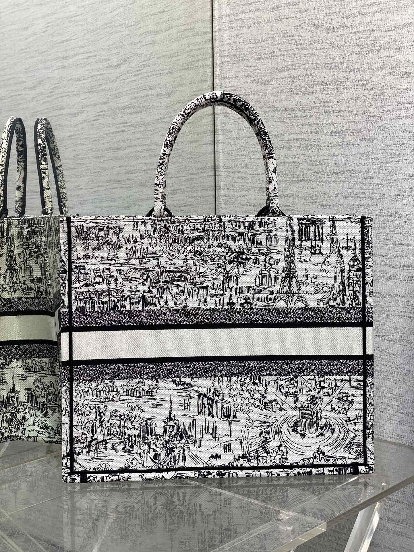 BAG-DIOR-W-LY-199