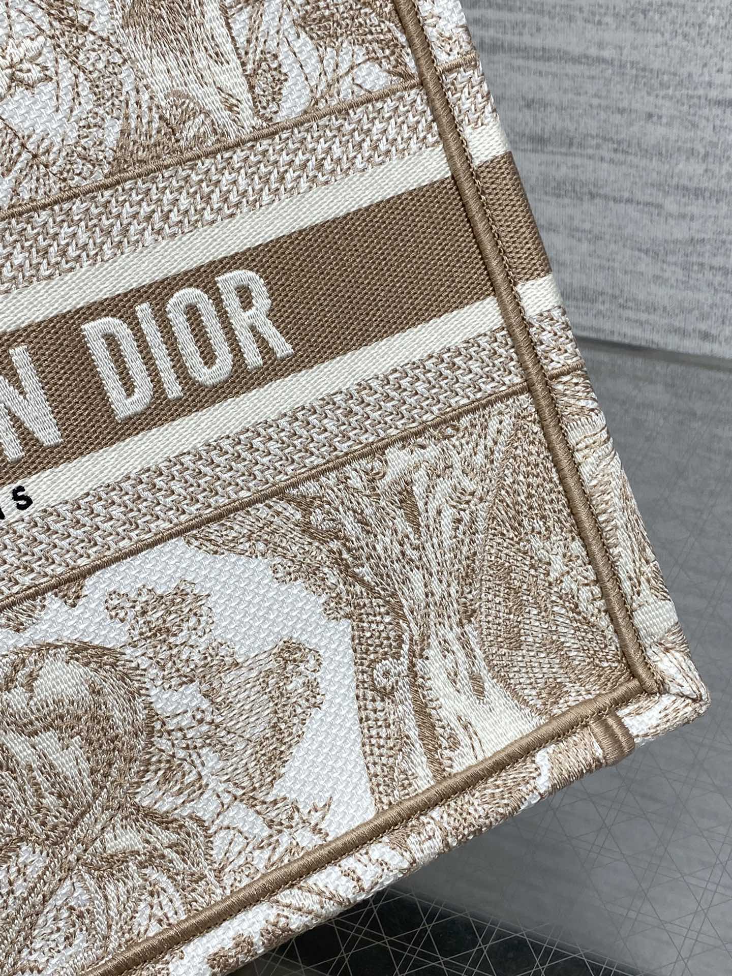 BAG-DIOR-W-LY-946