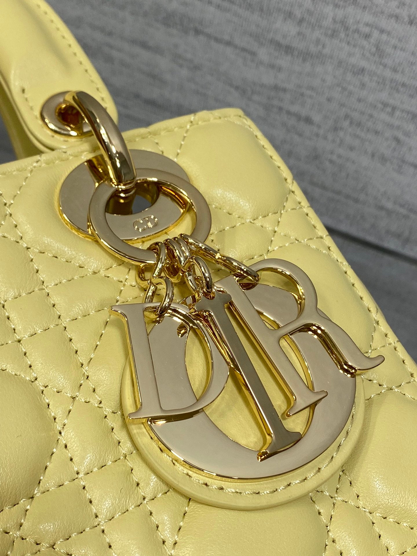 BAG-DIOR-W-LY-713