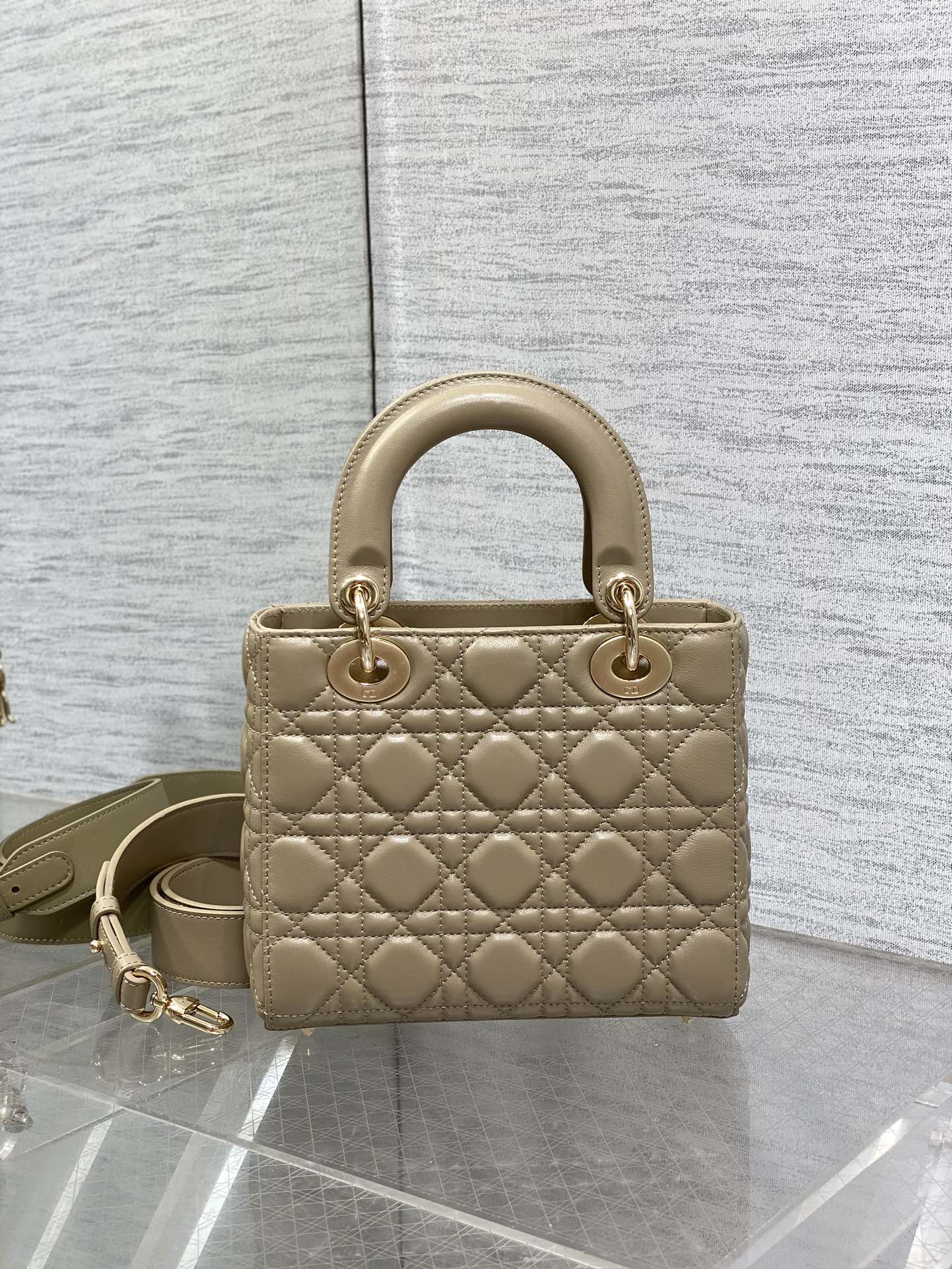 BAG-DIOR-W-LY-161