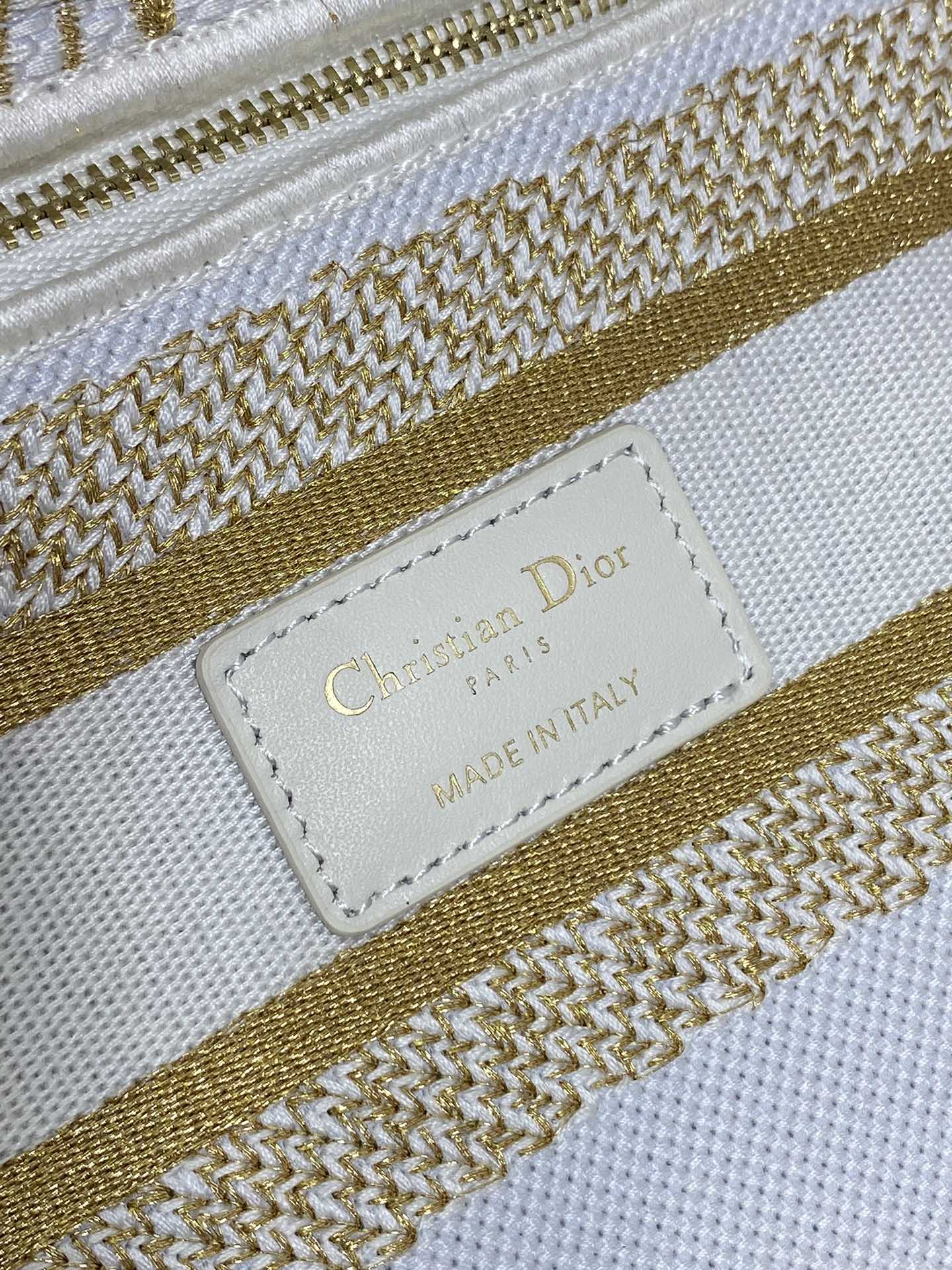 BAG-DIOR-W-LY-507