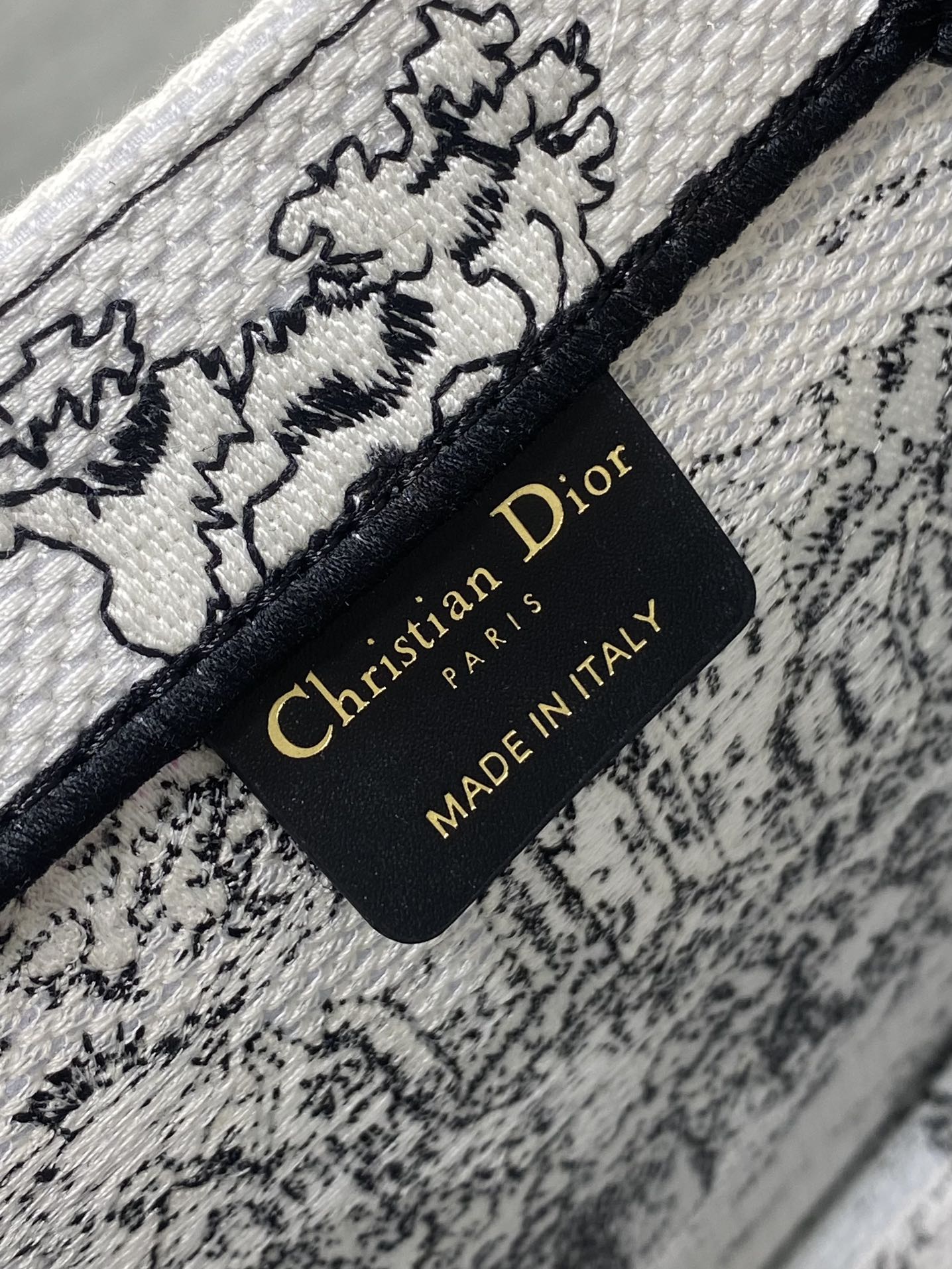 BAG-DIOR-W-LY-862