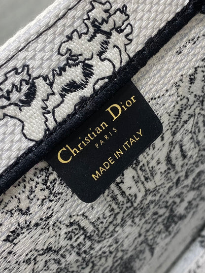BAG-DIOR-W-LY-862