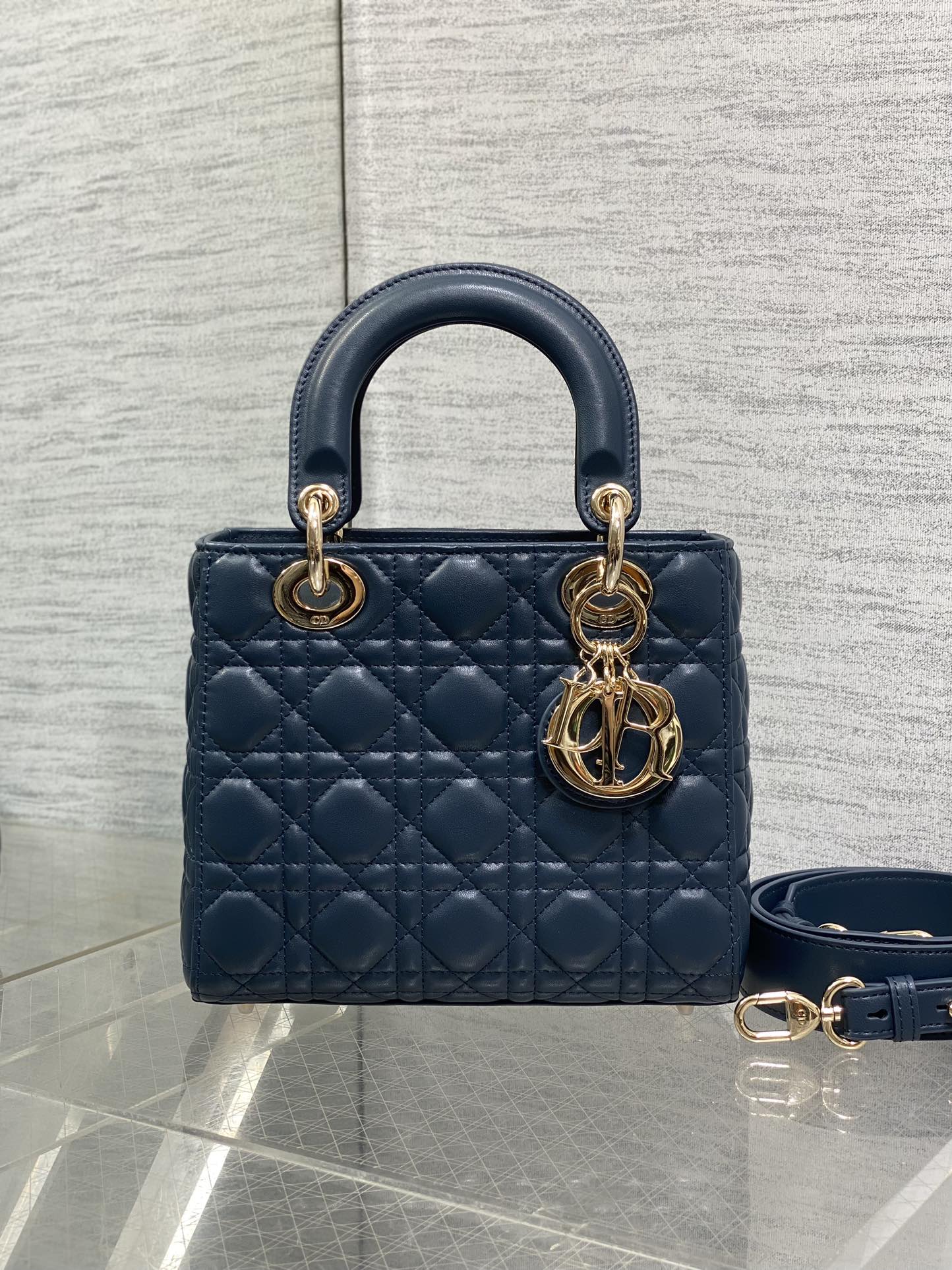 BAG-DIOR-W-LY-789