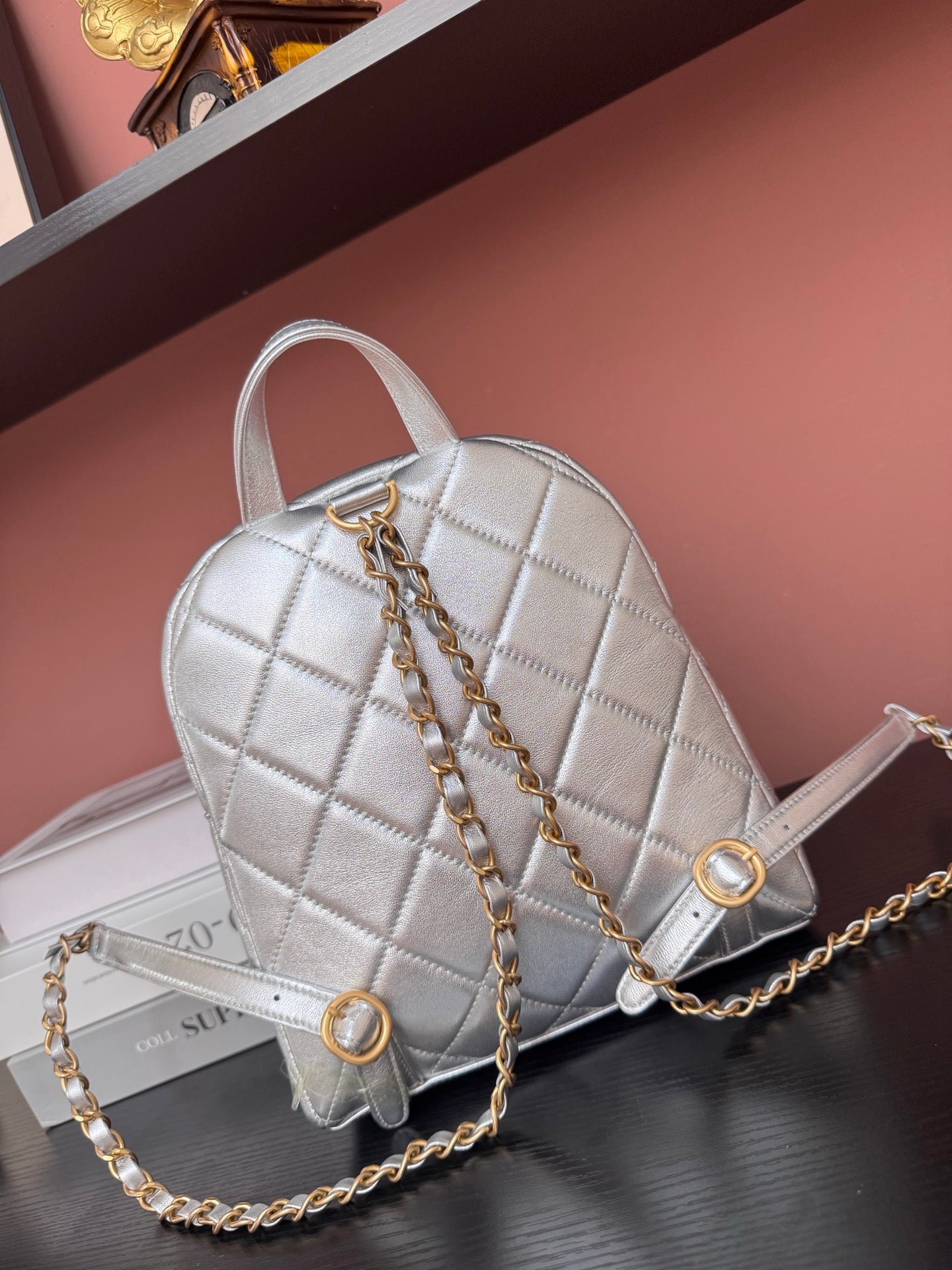 BAG-CHANEL-173