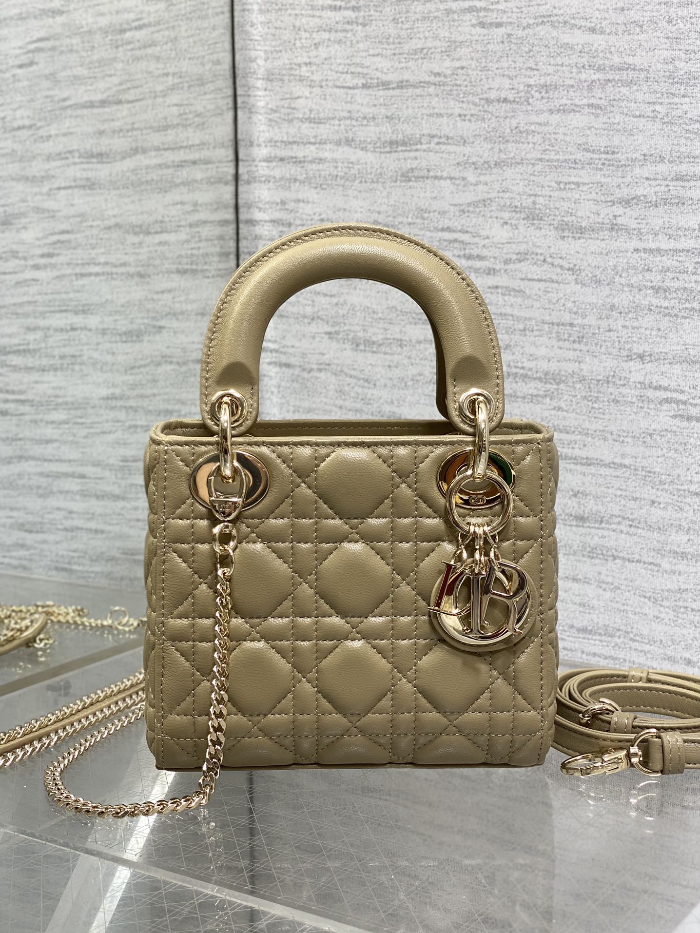 BAG-DIOR-W-LY-748