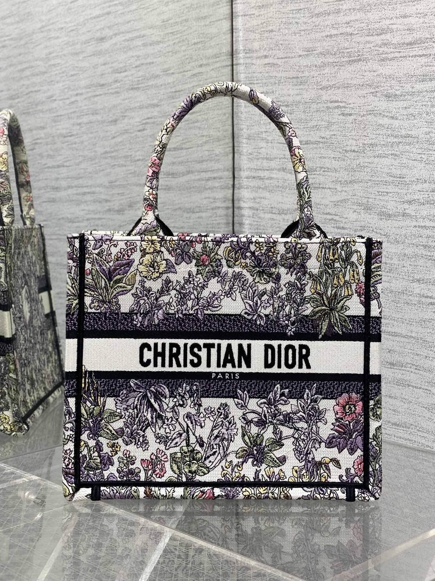 BAG-DIOR-W-LY-851
