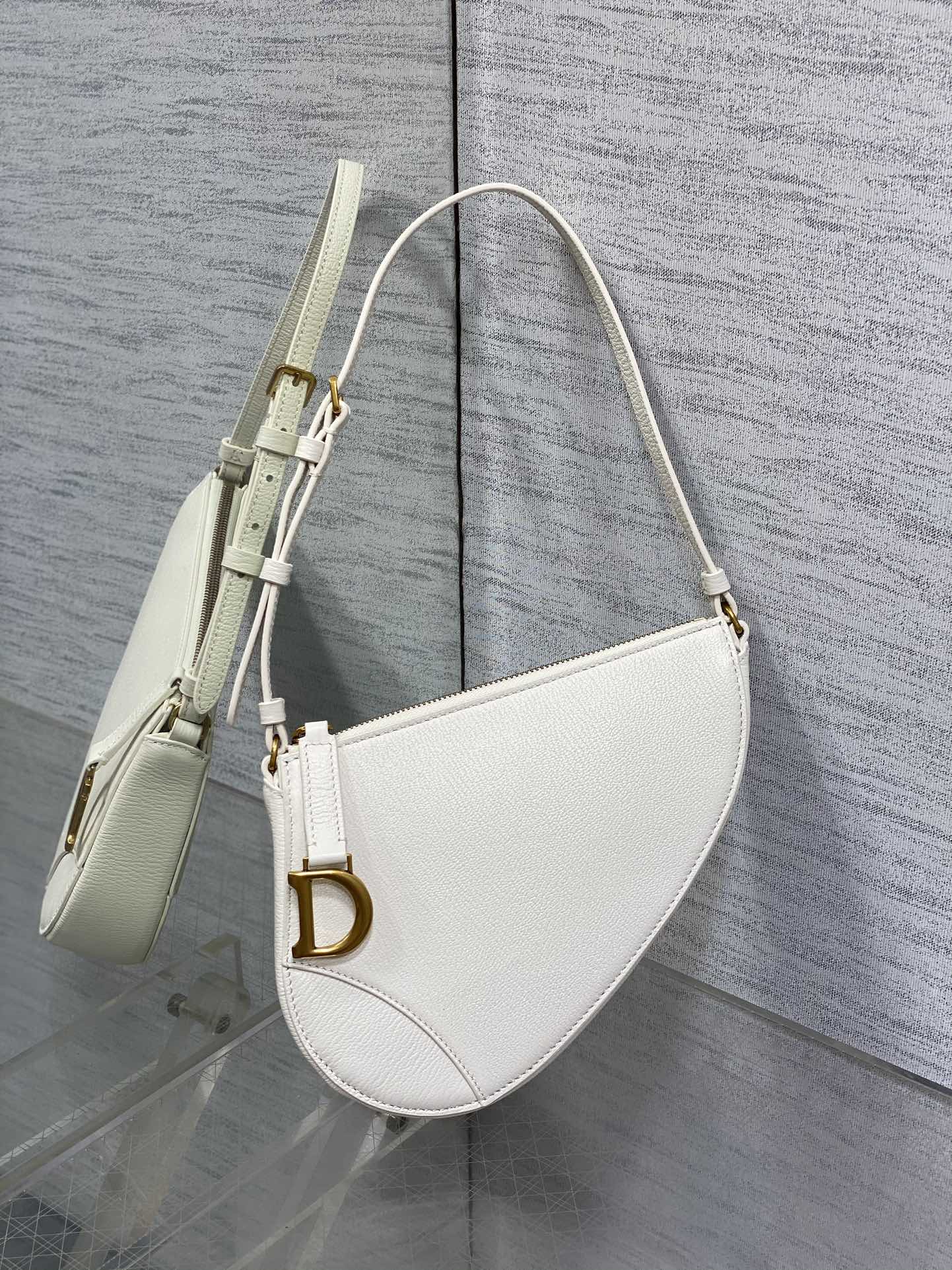 BAG-DIOR-W-LY-060