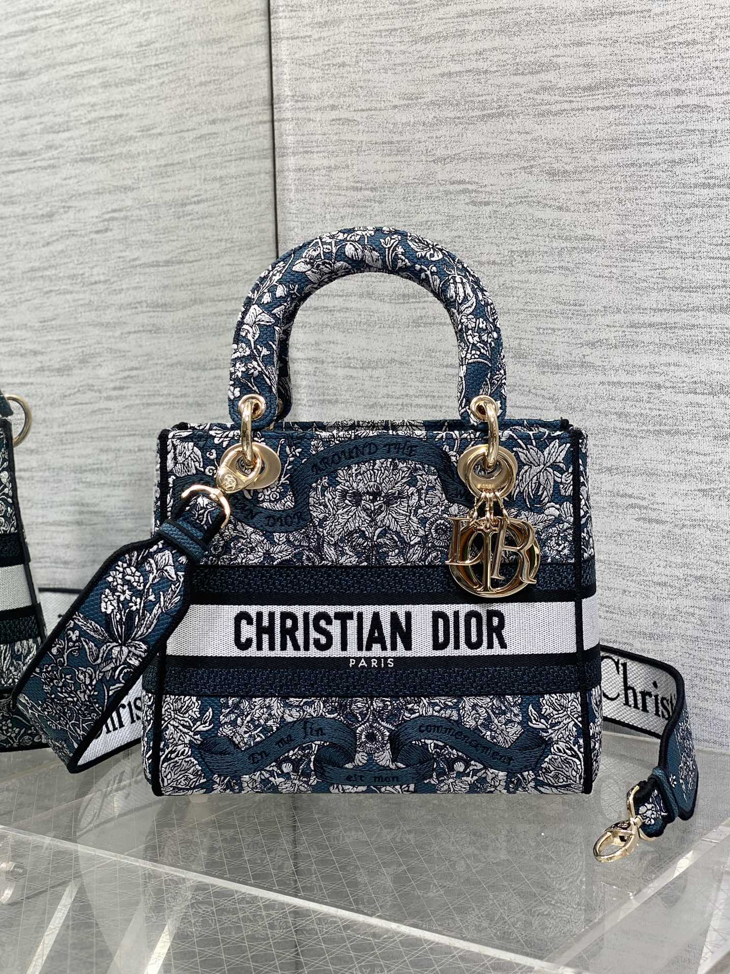 BAG-DIOR-W-LY-496